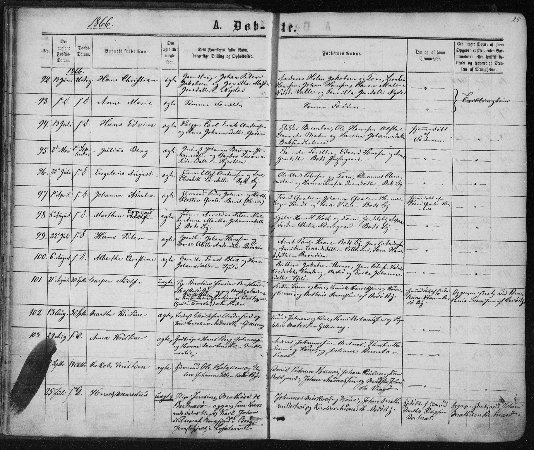 Ministerialprotokoller, klokkerbøker og fødselsregistre - Nordland, AV/SAT-A-1459/801/L0008: Parish register (official) no. 801A08, 1864-1875, p. 25