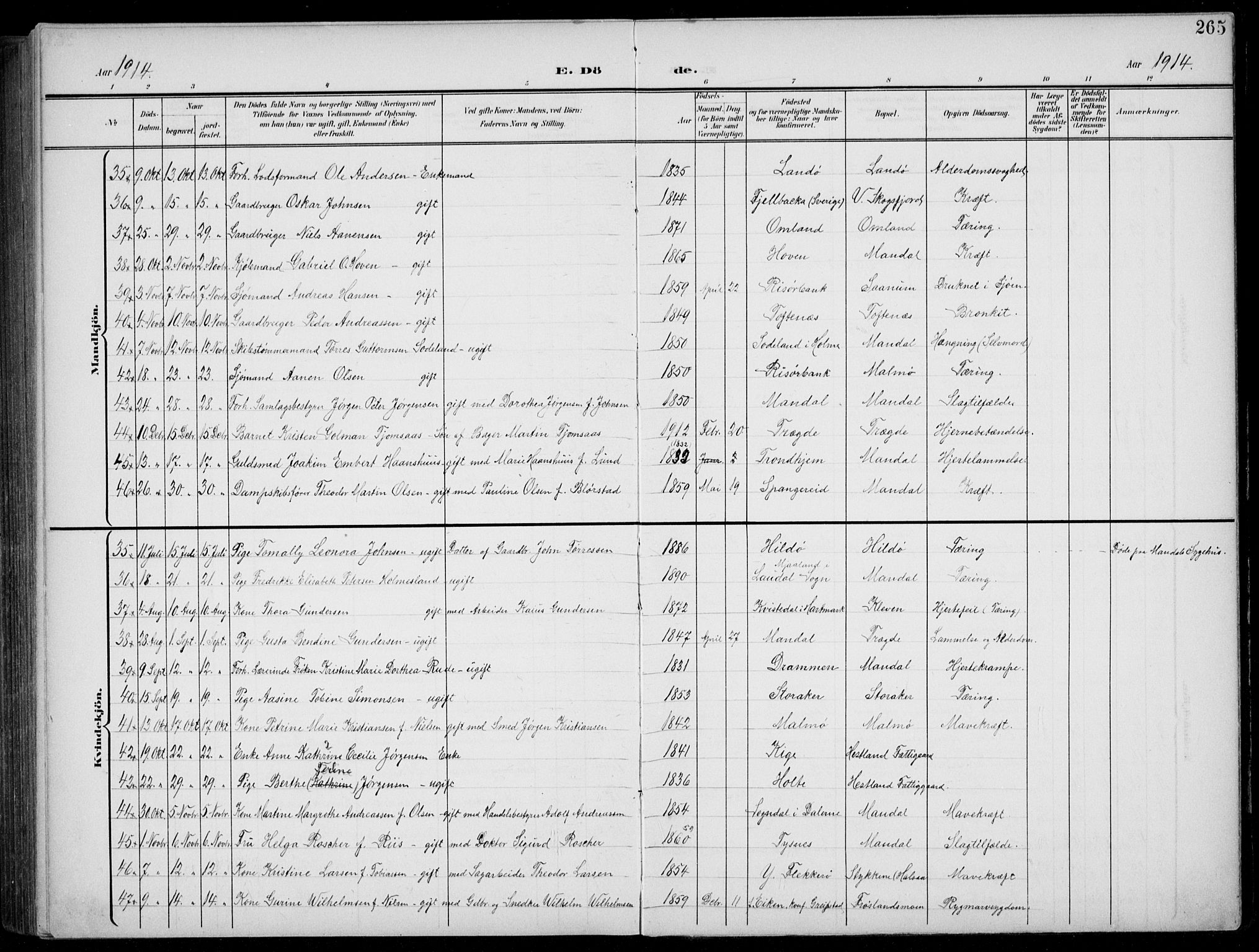 Mandal sokneprestkontor, AV/SAK-1111-0030/F/Fb/Fba/L0012: Parish register (copy) no. B 6, 1899-1918, p. 265