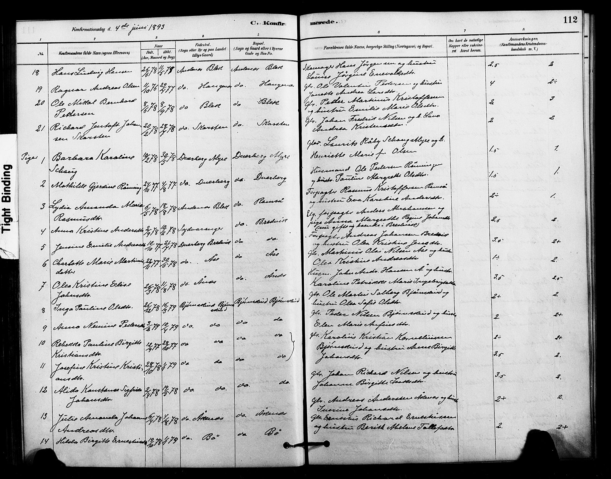 Ministerialprotokoller, klokkerbøker og fødselsregistre - Nordland, AV/SAT-A-1459/897/L1399: Parish register (official) no. 897C06, 1881-1896, p. 112