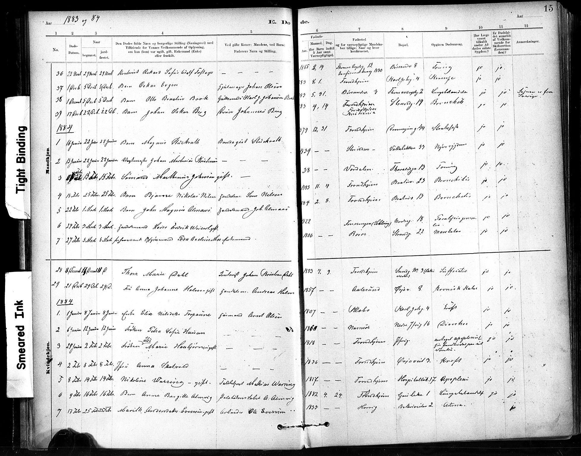 Ministerialprotokoller, klokkerbøker og fødselsregistre - Sør-Trøndelag, SAT/A-1456/602/L0120: Parish register (official) no. 602A18, 1880-1913, p. 15