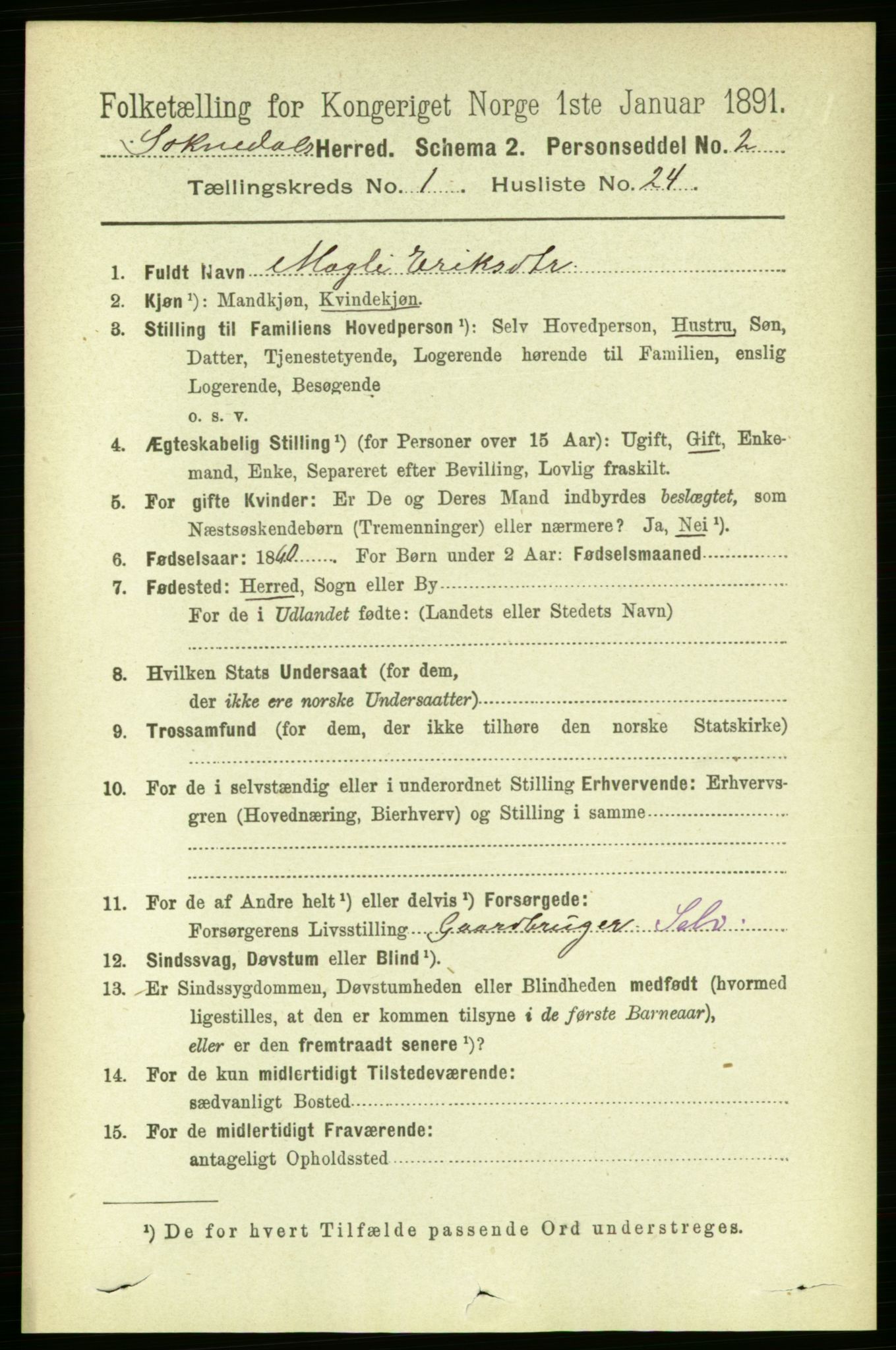 RA, 1891 census for 1649 Soknedal, 1891, p. 219