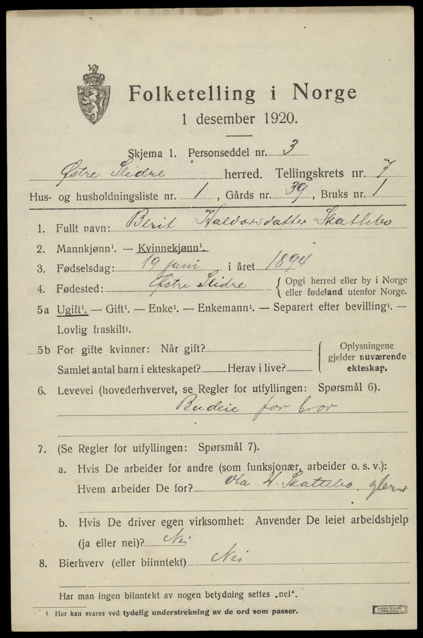 SAH, 1920 census for Øystre Slidre, 1920, p. 4019