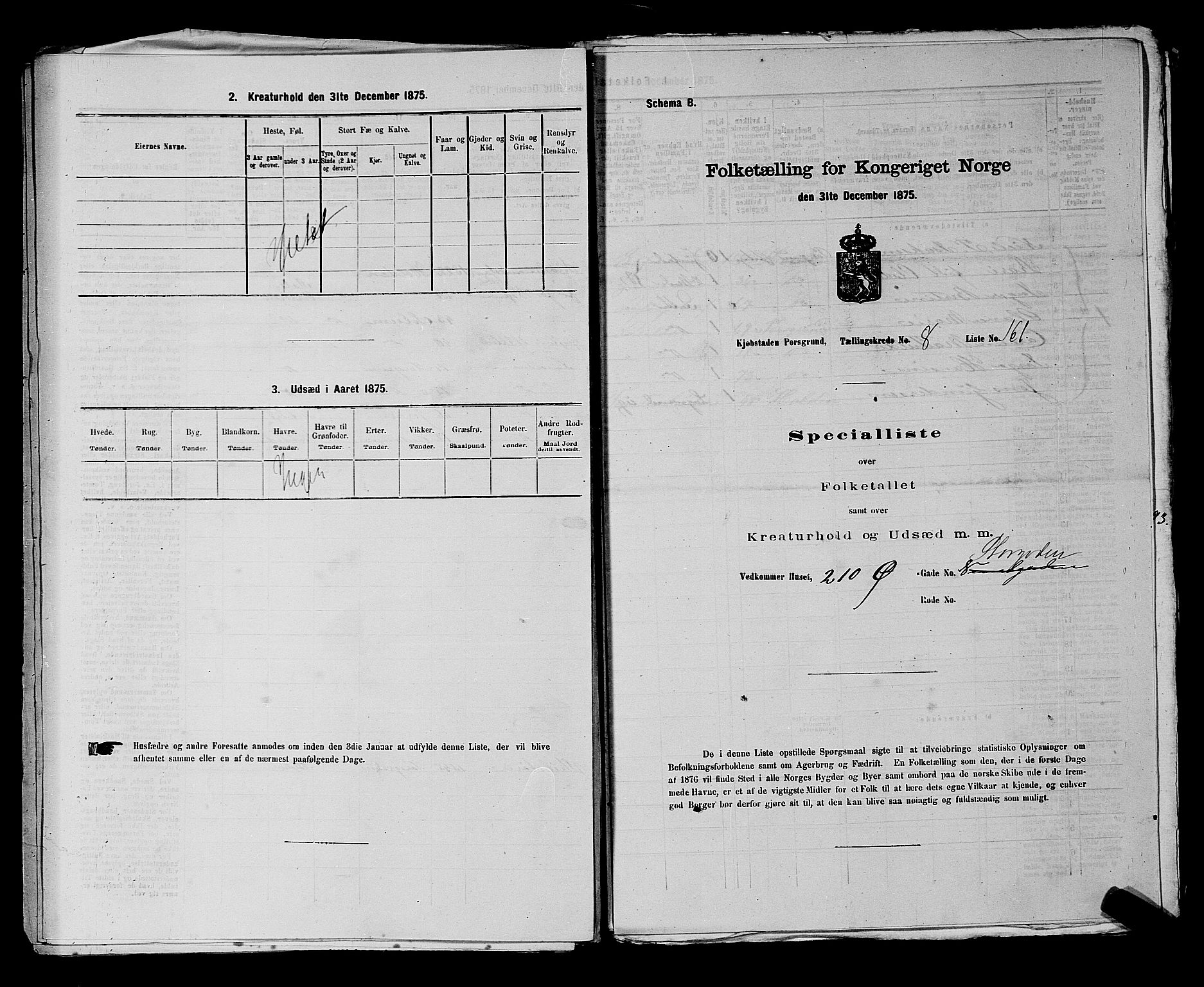 SAKO, 1875 census for 0805P Porsgrunn, 1875, p. 381