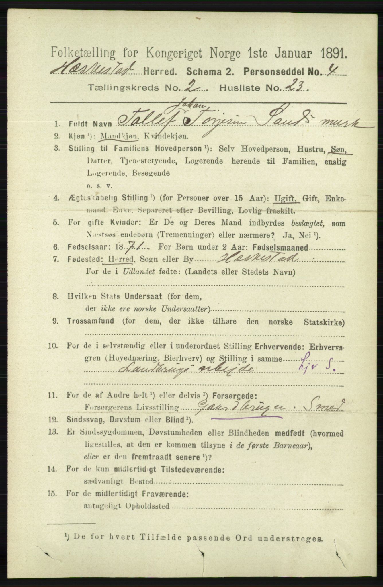 RA, 1891 census for 1113 Heskestad, 1891, p. 384