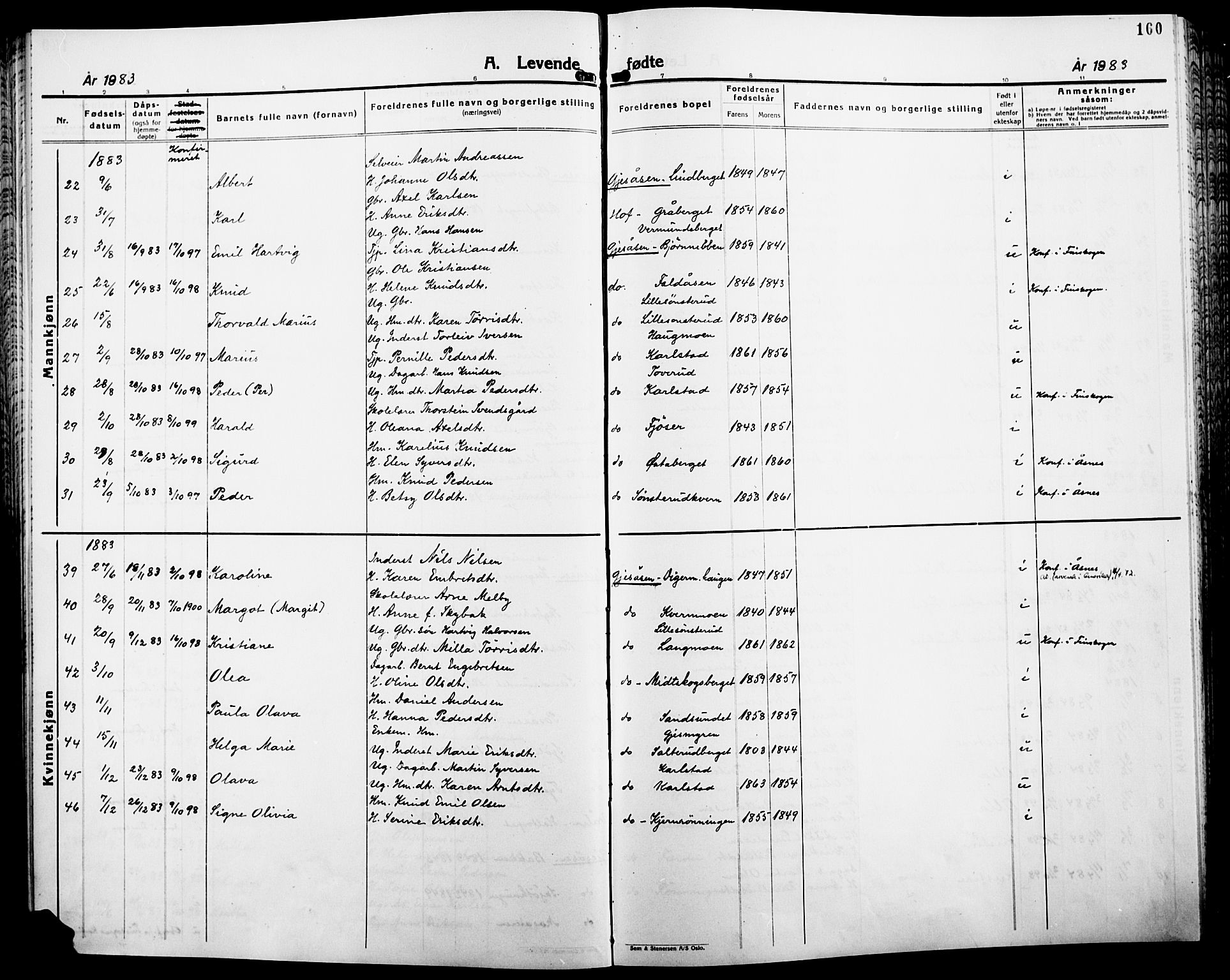 Åsnes prestekontor, AV/SAH-PREST-042/H/Ha/Haa/L0000B: Parish register (official), 1870-1889, p. 160