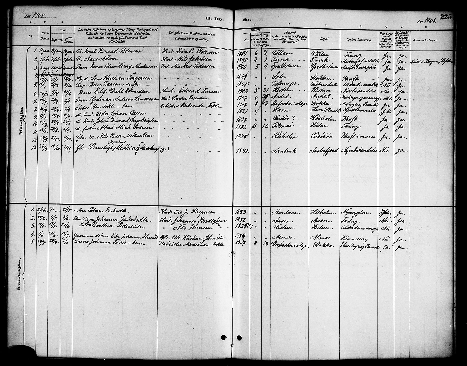 Ministerialprotokoller, klokkerbøker og fødselsregistre - Nordland, AV/SAT-A-1459/819/L0277: Parish register (copy) no. 819C03, 1888-1917, p. 225