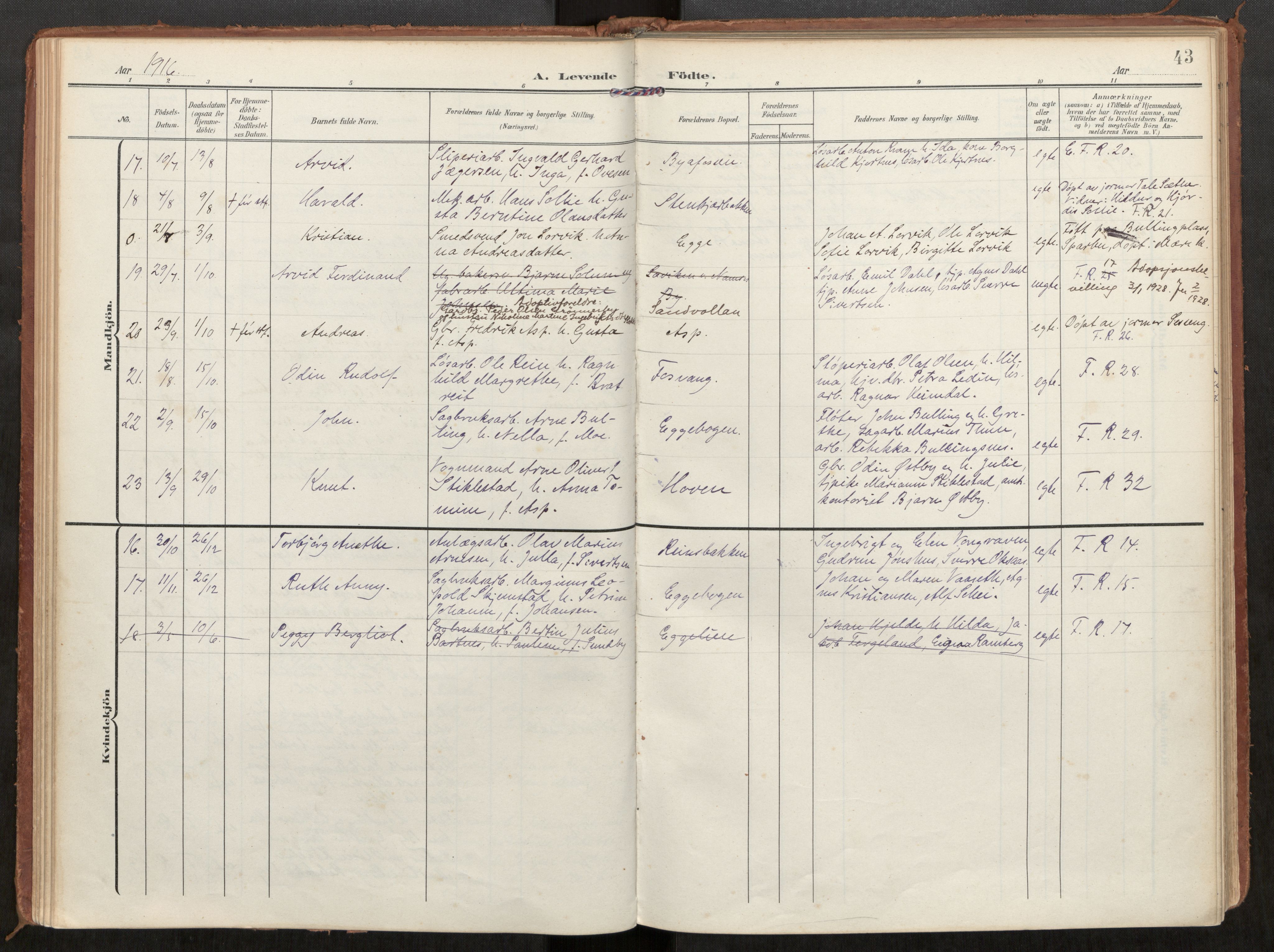 Steinkjer sokneprestkontor, AV/SAT-A-1541/01/H/Ha/Haa/L0002: Parish register (official) no. 2, 1907-1917, p. 43