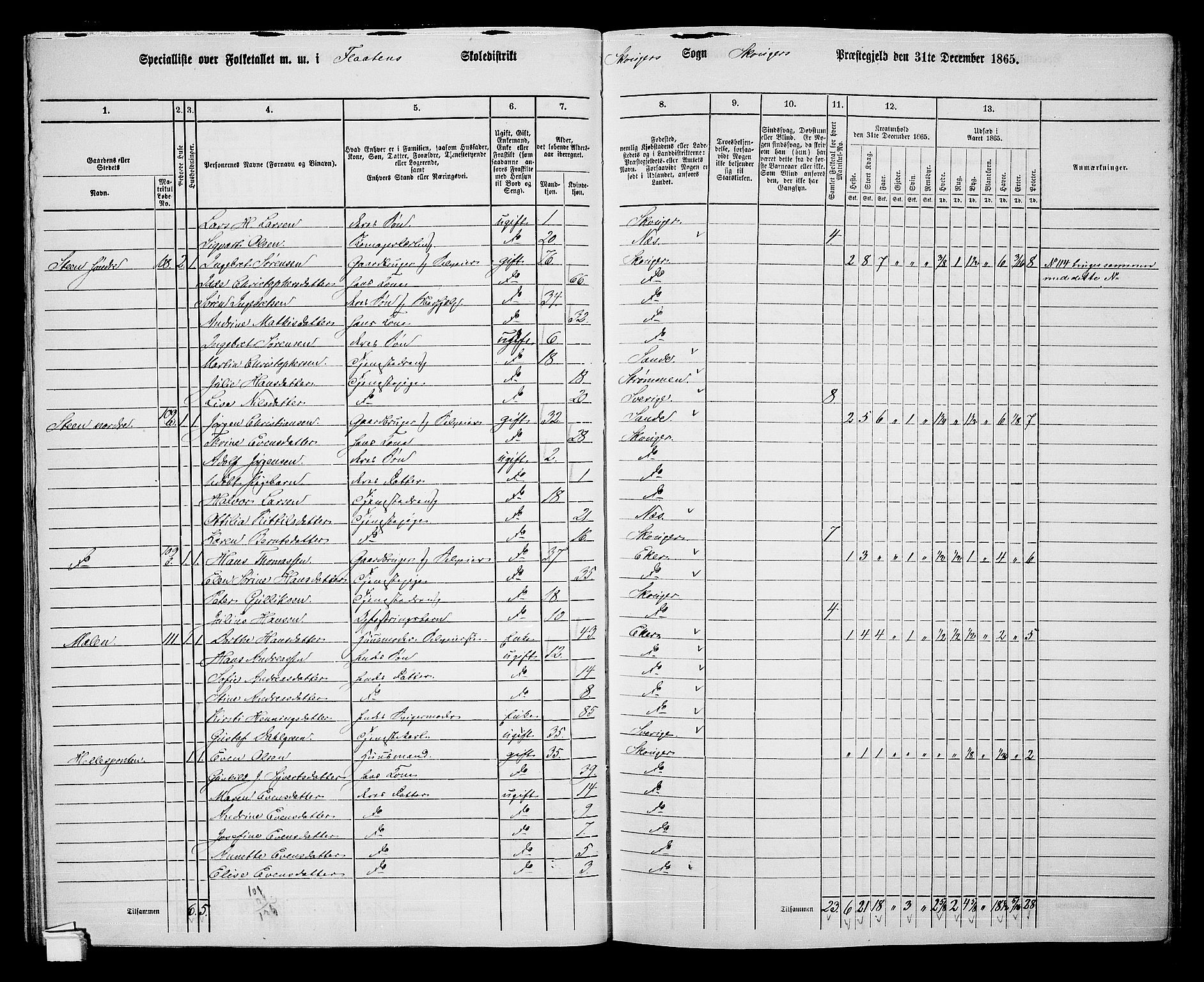 RA, 1865 census for Skoger, 1865, p. 77