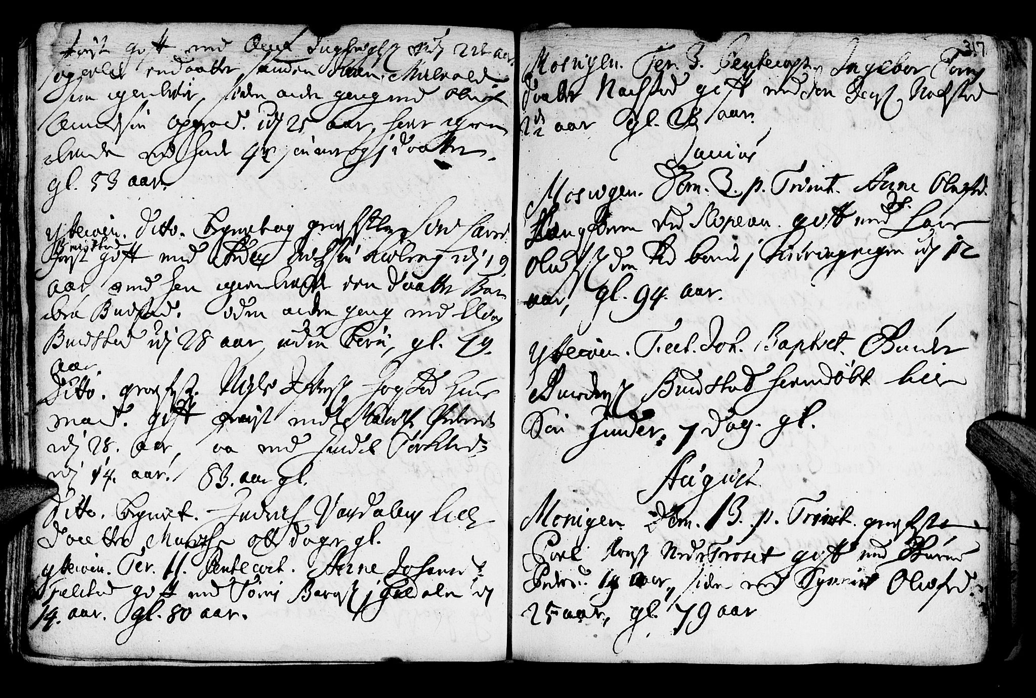 Ministerialprotokoller, klokkerbøker og fødselsregistre - Nord-Trøndelag, SAT/A-1458/722/L0215: Parish register (official) no. 722A02, 1718-1755, p. 317