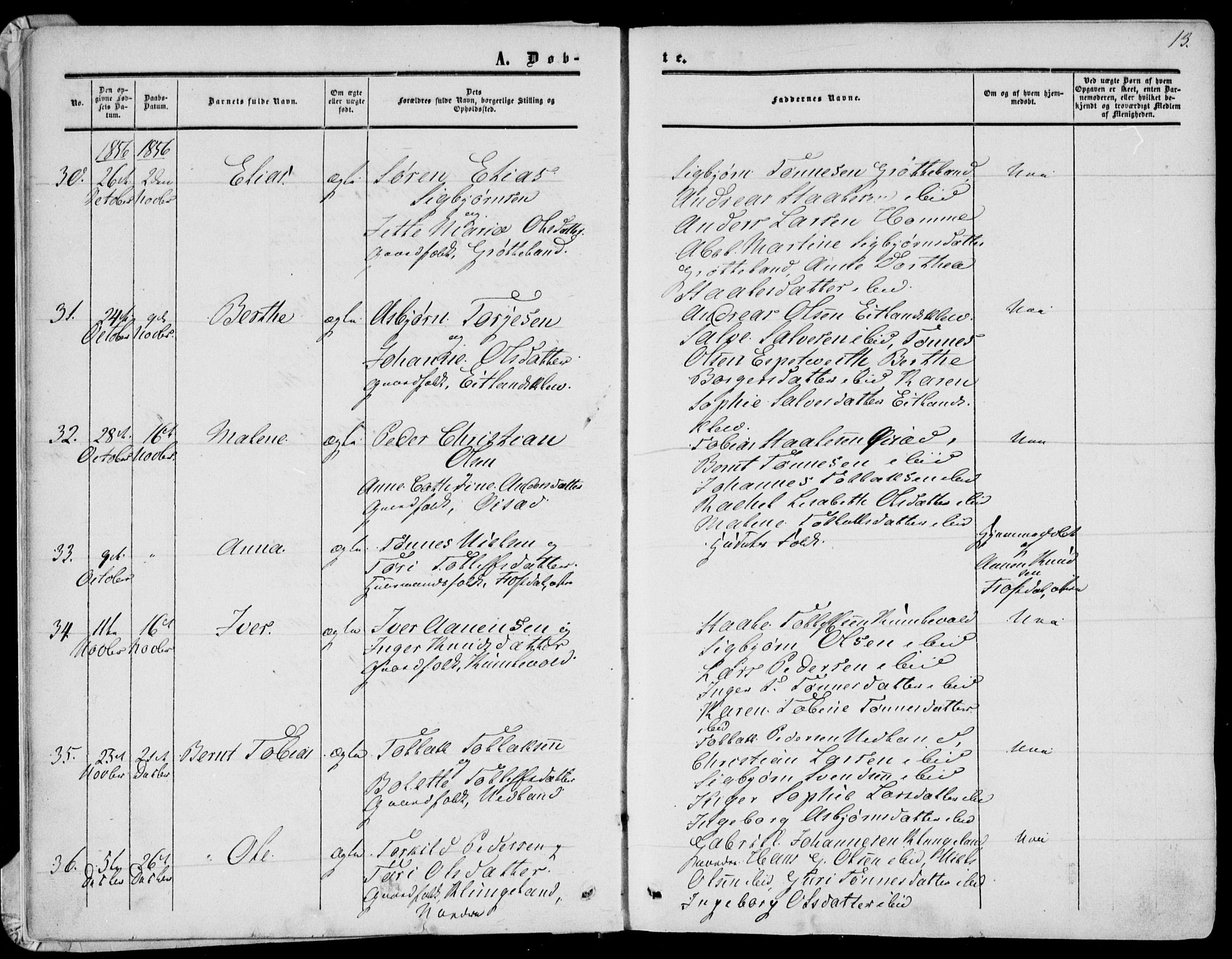 Bakke sokneprestkontor, AV/SAK-1111-0002/F/Fa/Fab/L0002: Parish register (official) no. A 2, 1855-1884, p. 13