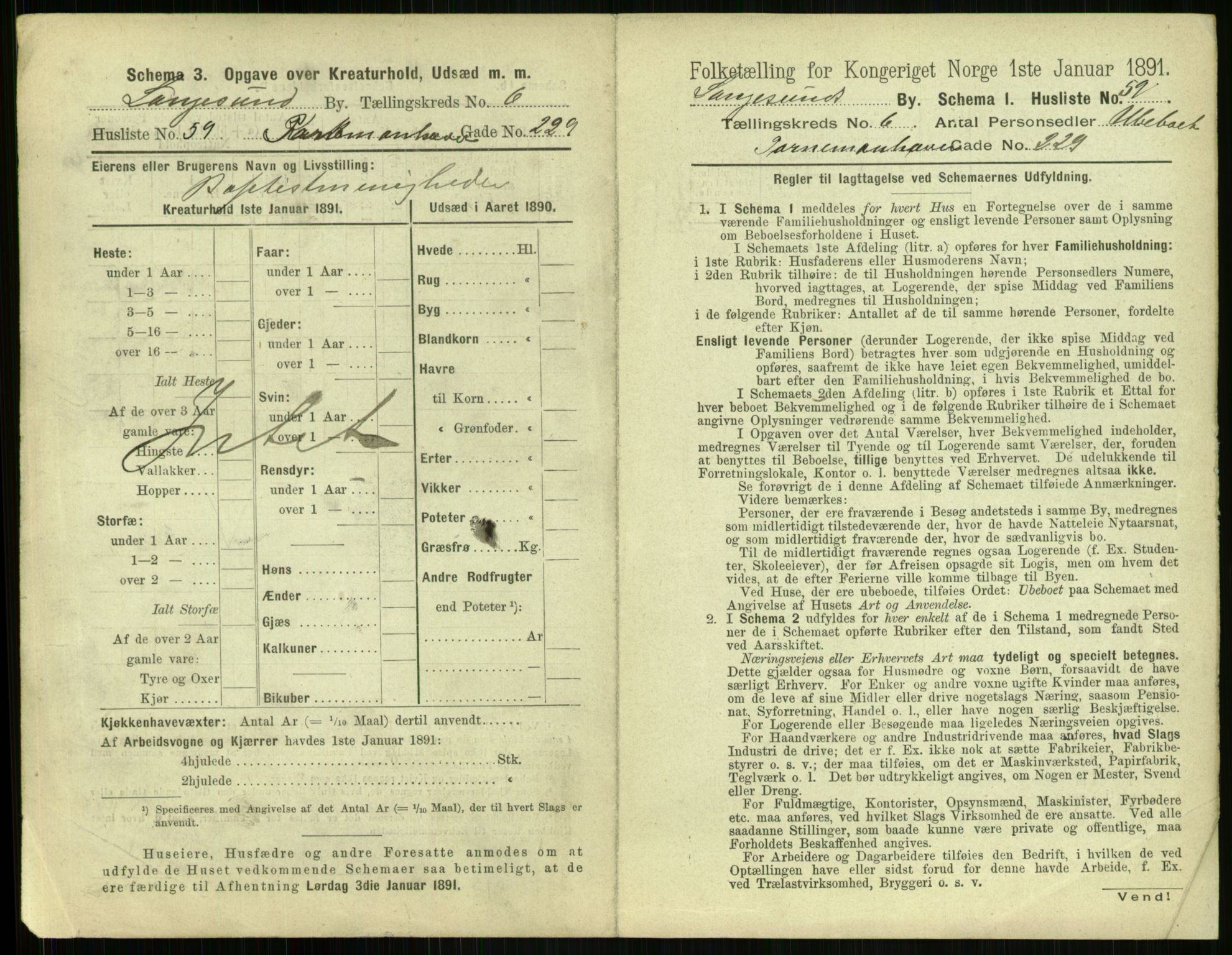 RA, 1891 census for 0802 Langesund, 1891, p. 500