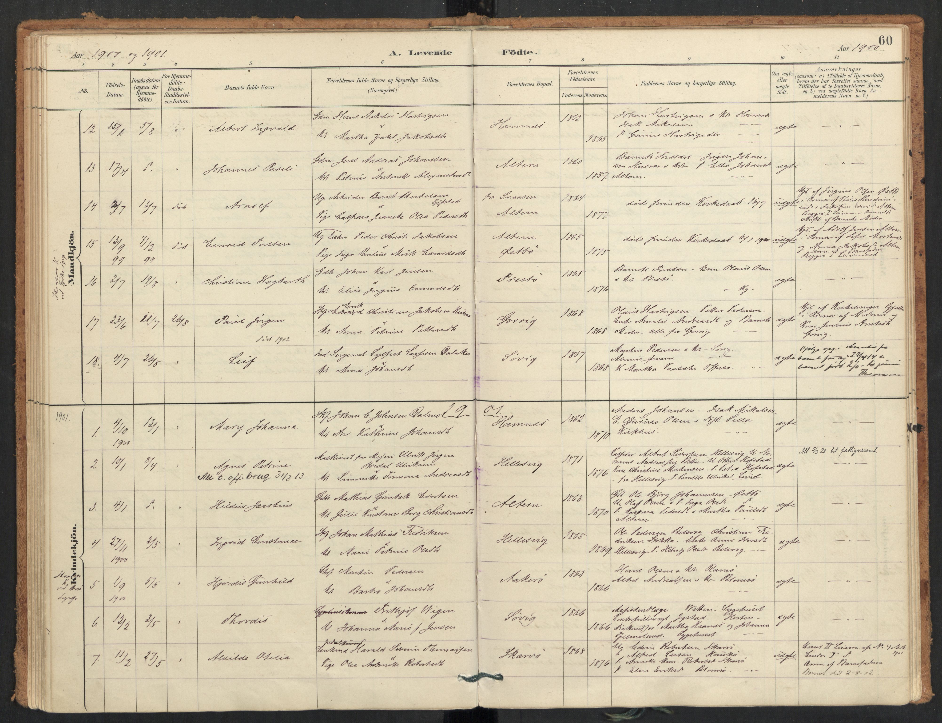 Ministerialprotokoller, klokkerbøker og fødselsregistre - Nordland, SAT/A-1459/830/L0453: Parish register (official) no. 830A17, 1886-1911, p. 60
