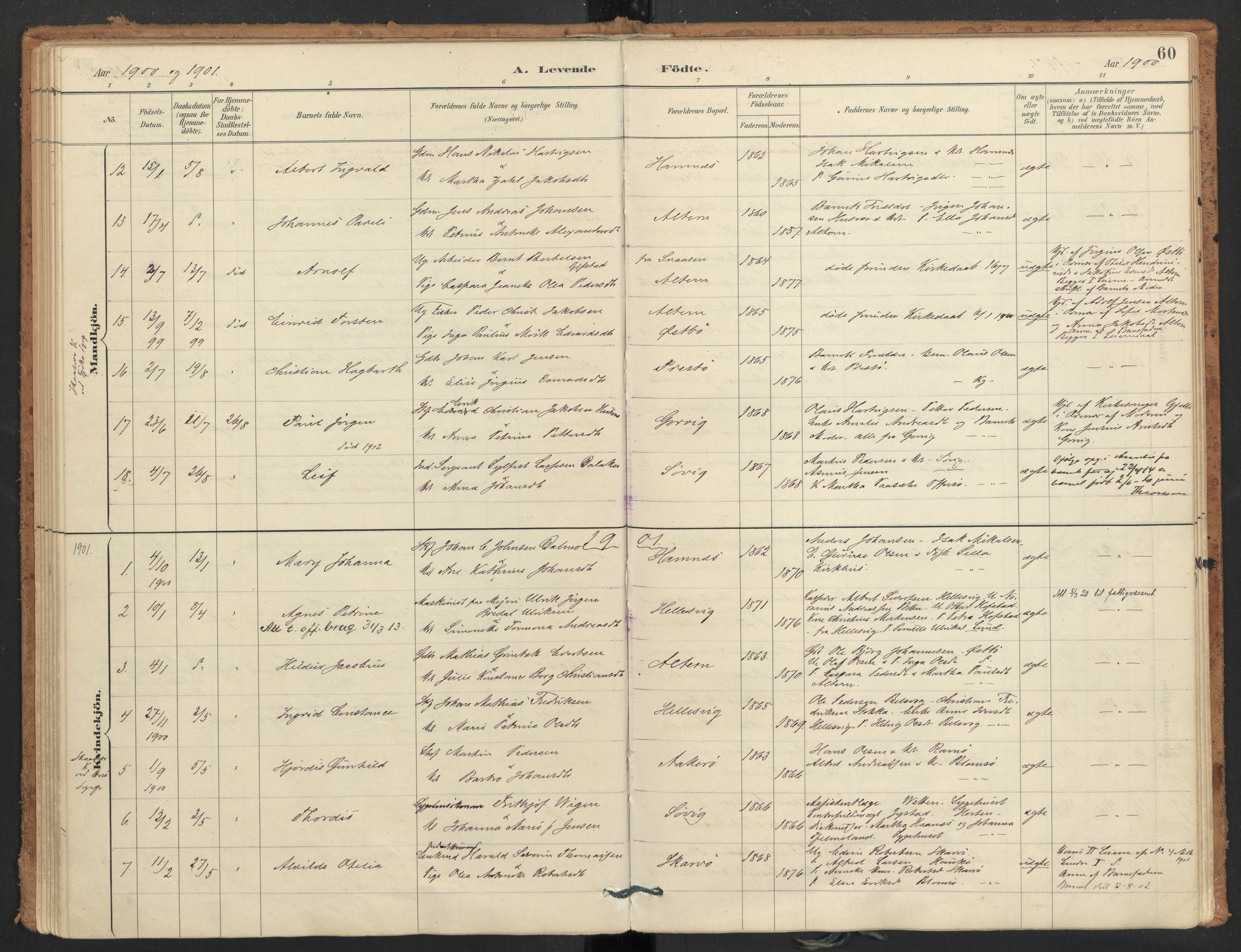 Ministerialprotokoller, klokkerbøker og fødselsregistre - Nordland, AV/SAT-A-1459/830/L0453: Parish register (official) no. 830A17, 1886-1911, p. 60