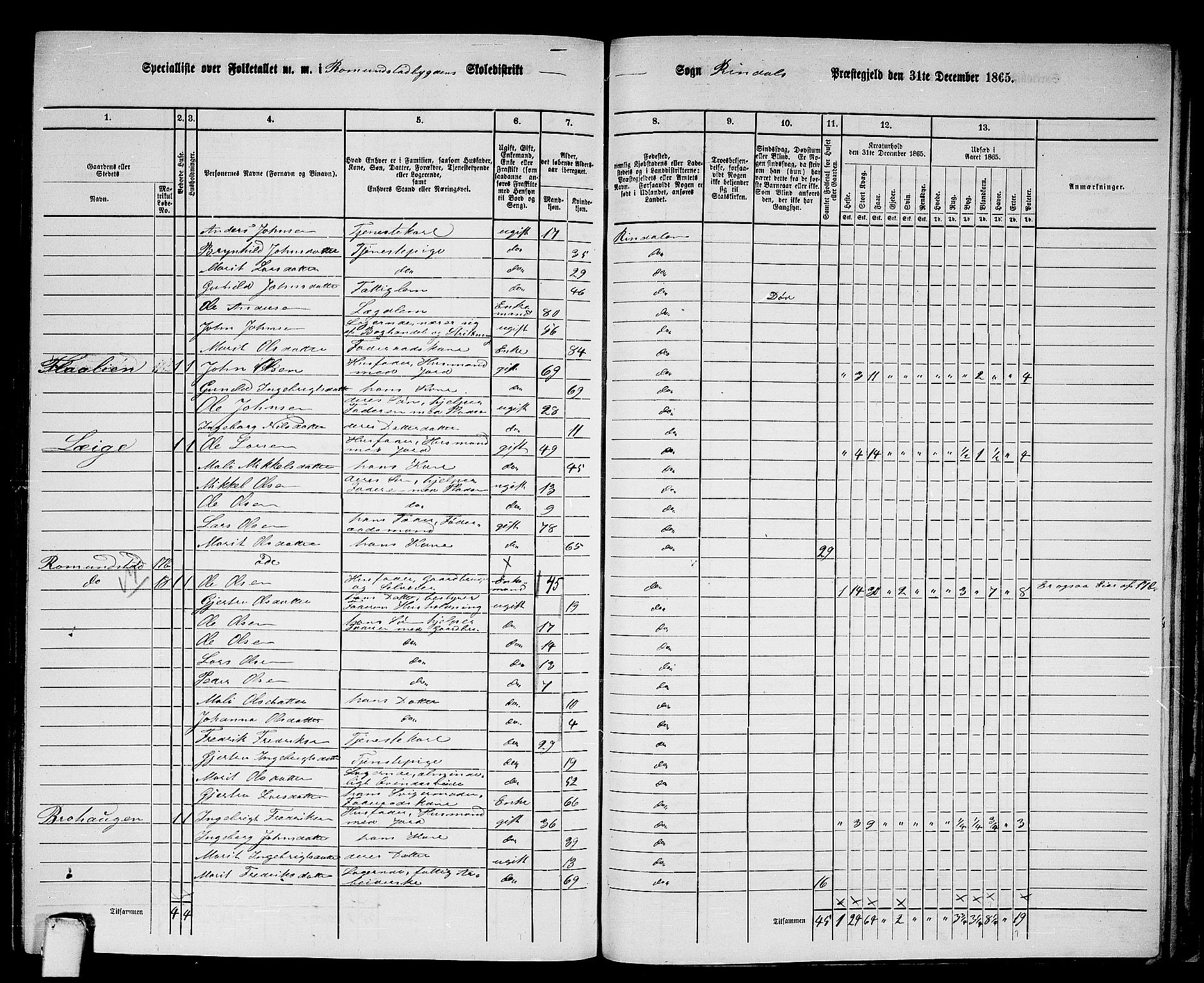 RA, 1865 census for Rindal, 1865, p. 77