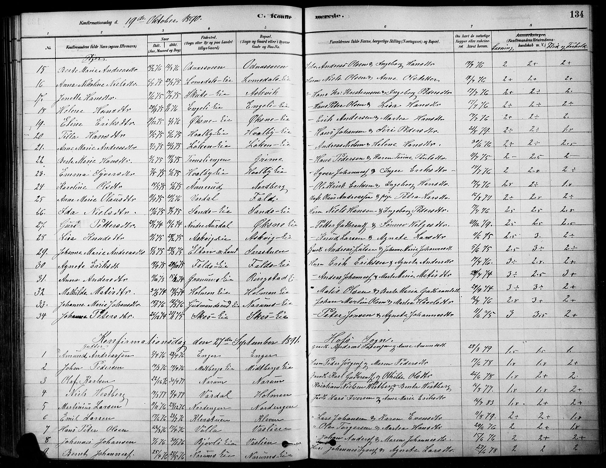 Søndre Land prestekontor, SAH/PREST-122/K/L0003: Parish register (official) no. 3, 1878-1894, p. 134