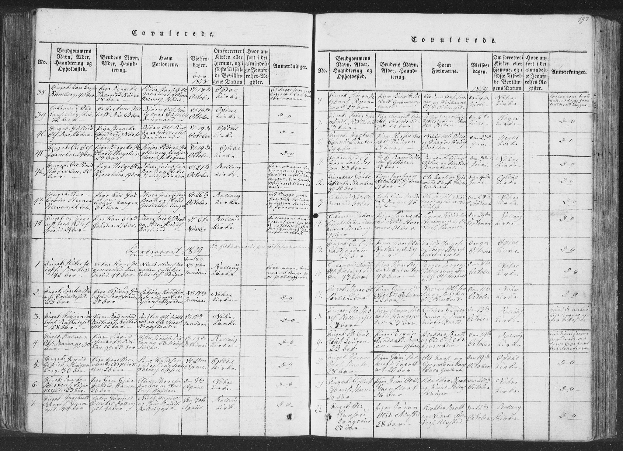 Rollag kirkebøker, AV/SAKO-A-240/F/Fa/L0006: Parish register (official) no. I 6, 1814-1828, p. 197