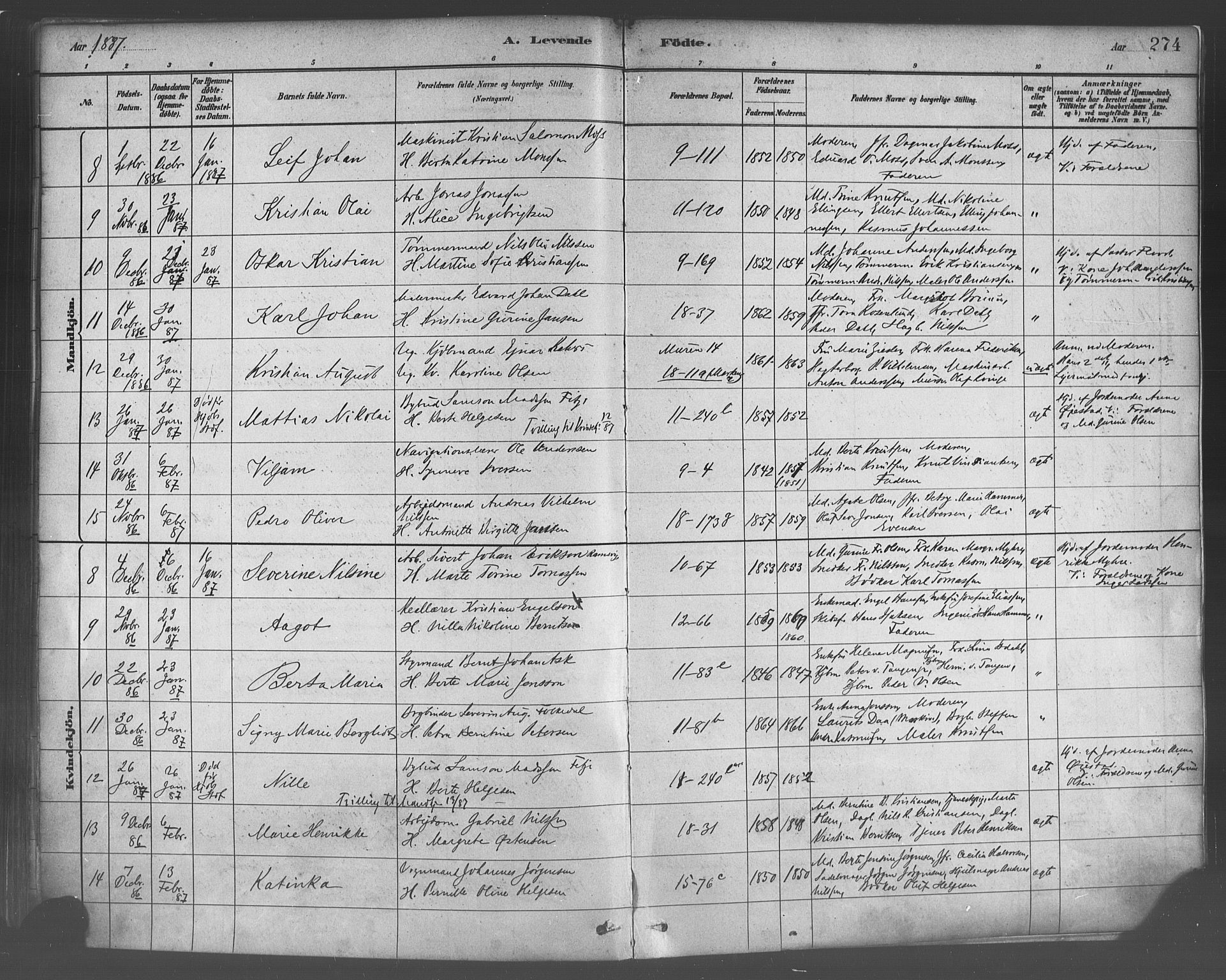 Domkirken sokneprestembete, SAB/A-74801/H/Haa/L0023: Parish register (official) no. B 6, 1879-1887, p. 274