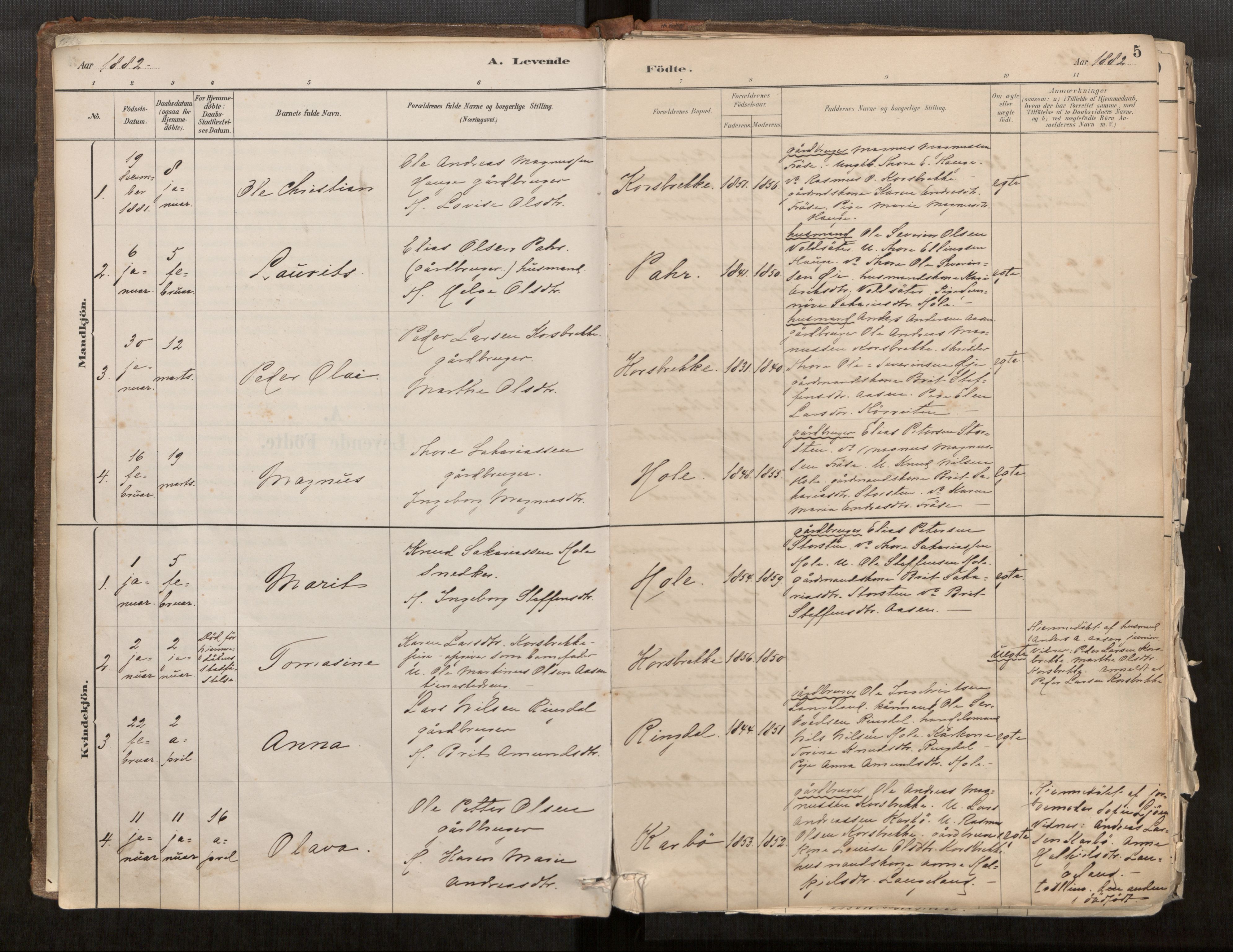 Sunnylven sokneprestkontor, SAT/A-1007: Parish register (official) no. 517A08, 1882-1939, p. 5