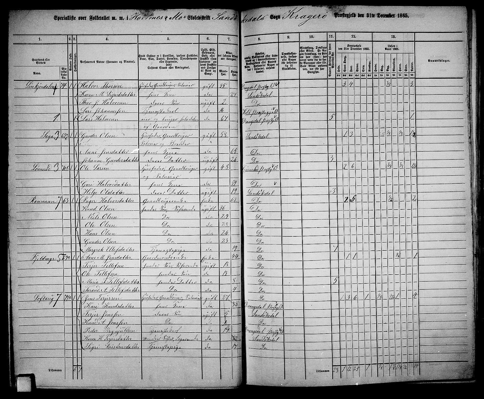 RA, 1865 census for Kragerø/Sannidal og Skåtøy, 1865, p. 39