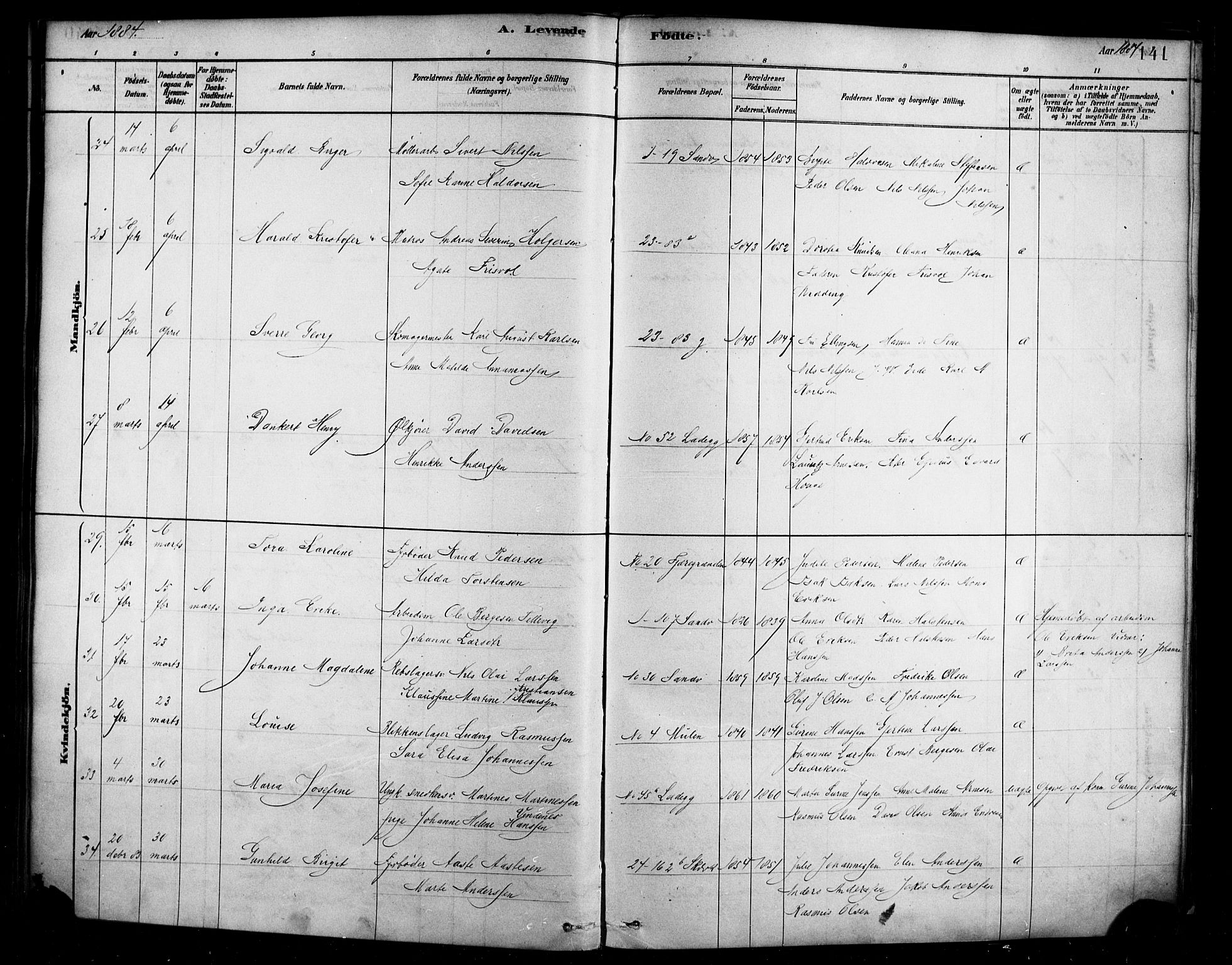 Sandviken Sokneprestembete, AV/SAB-A-77601/H/Ha/L0004: Parish register (official) no. B 1, 1878-1891, p. 141