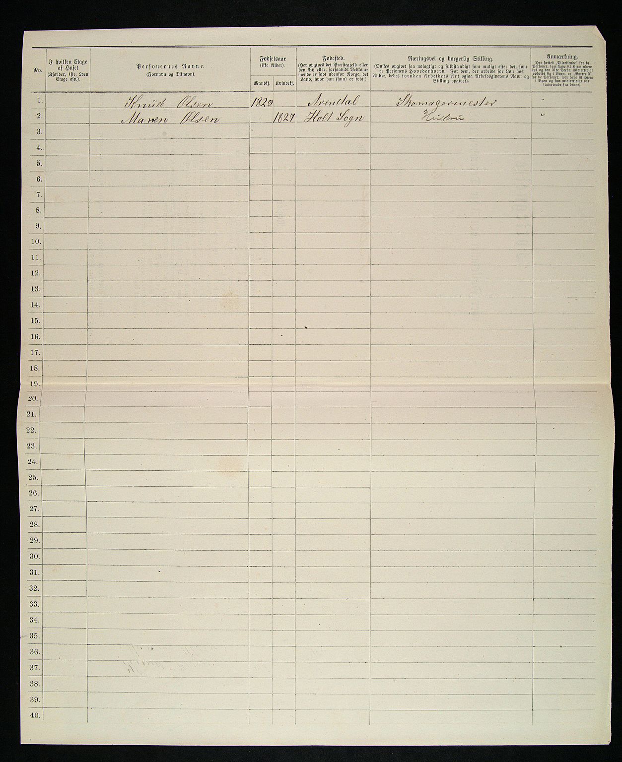 SAK, 1885 census for 0902 Tvedestrand, 1885, p. 173