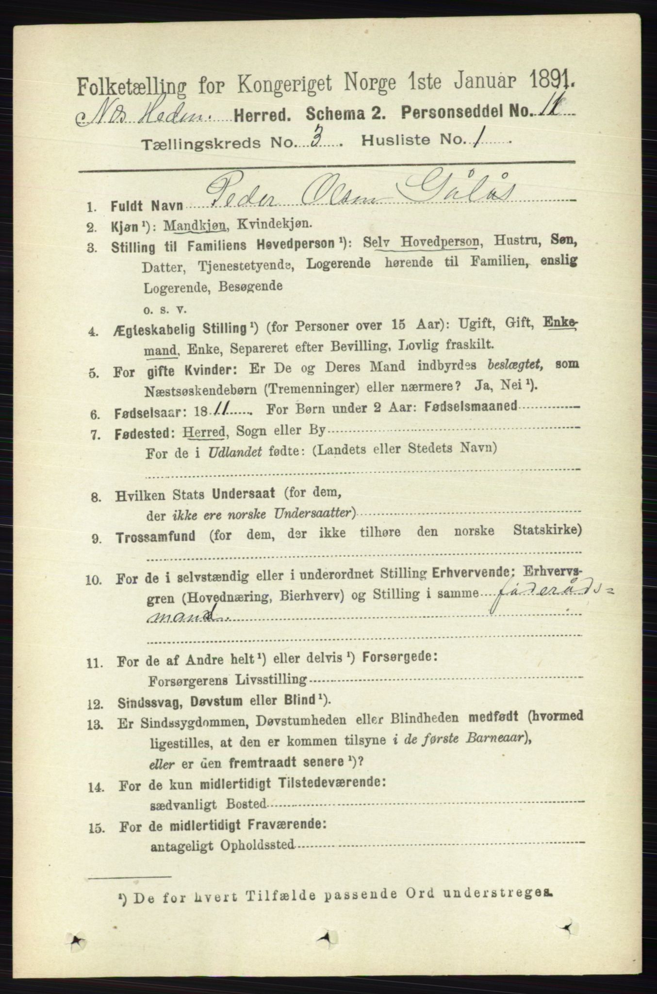 RA, 1891 census for 0411 Nes, 1891, p. 1598