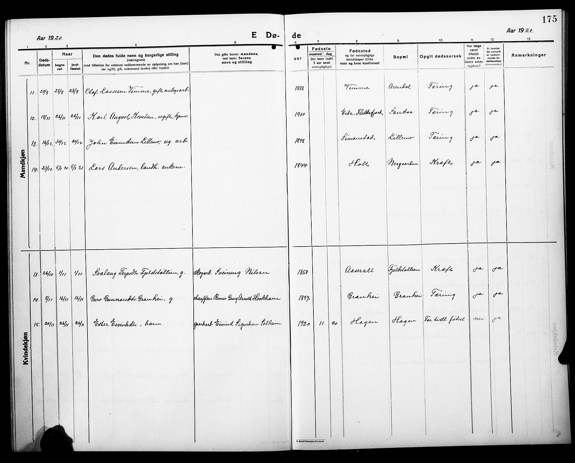 Åmli sokneprestkontor, AV/SAK-1111-0050/F/Fb/Fbc/L0006: Parish register (copy) no. B 6, 1915-1929, p. 175