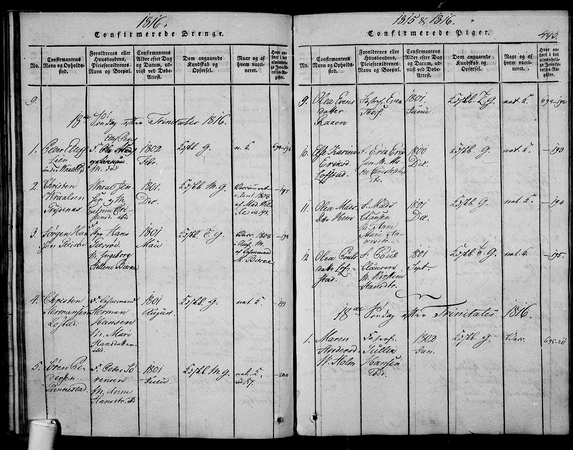 Våle kirkebøker, AV/SAKO-A-334/F/Fa/L0007: Parish register (official) no. I 7, 1814-1824, p. 492-493