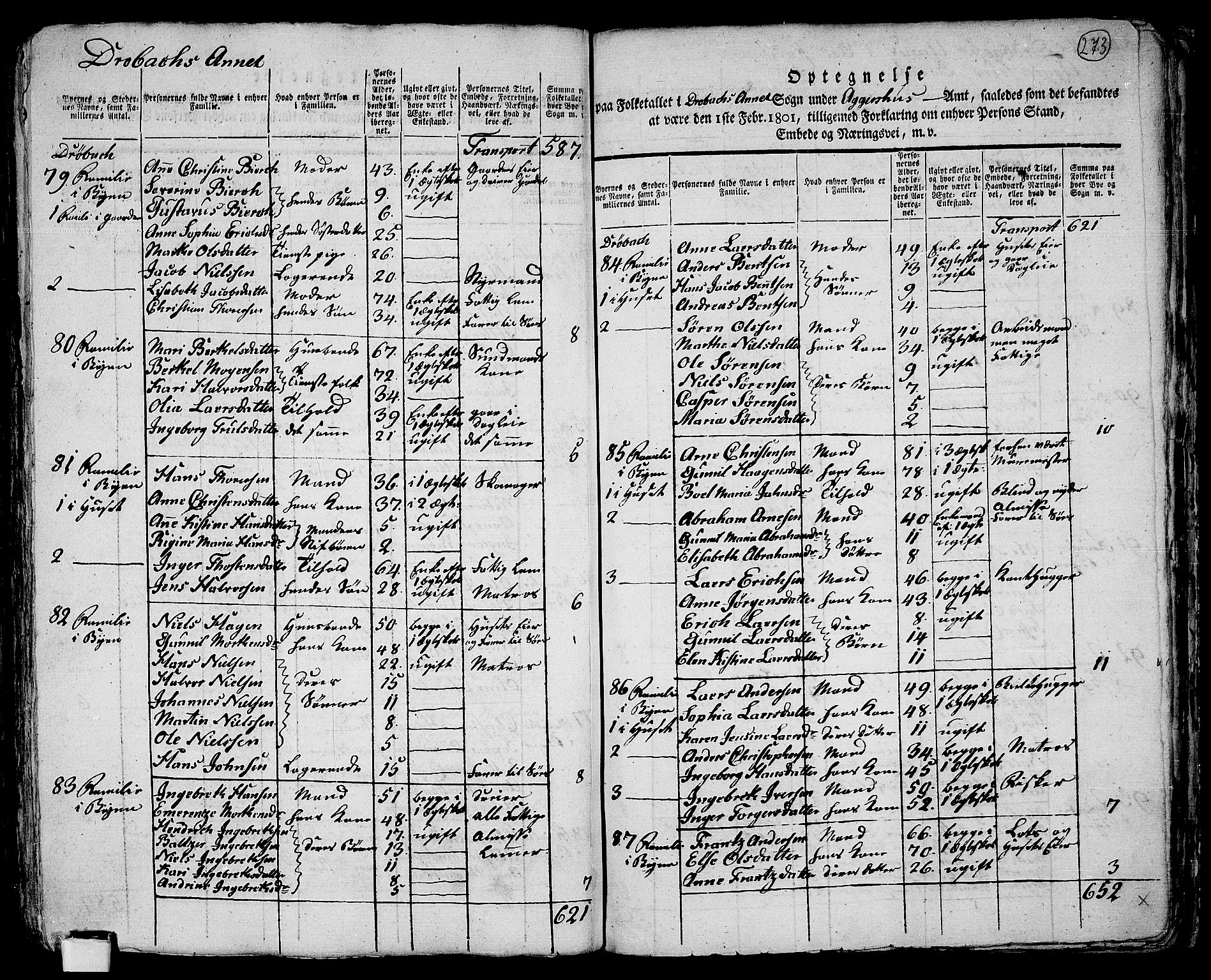 RA, 1801 census for 0214P Ås, 1801, p. 272b-273a