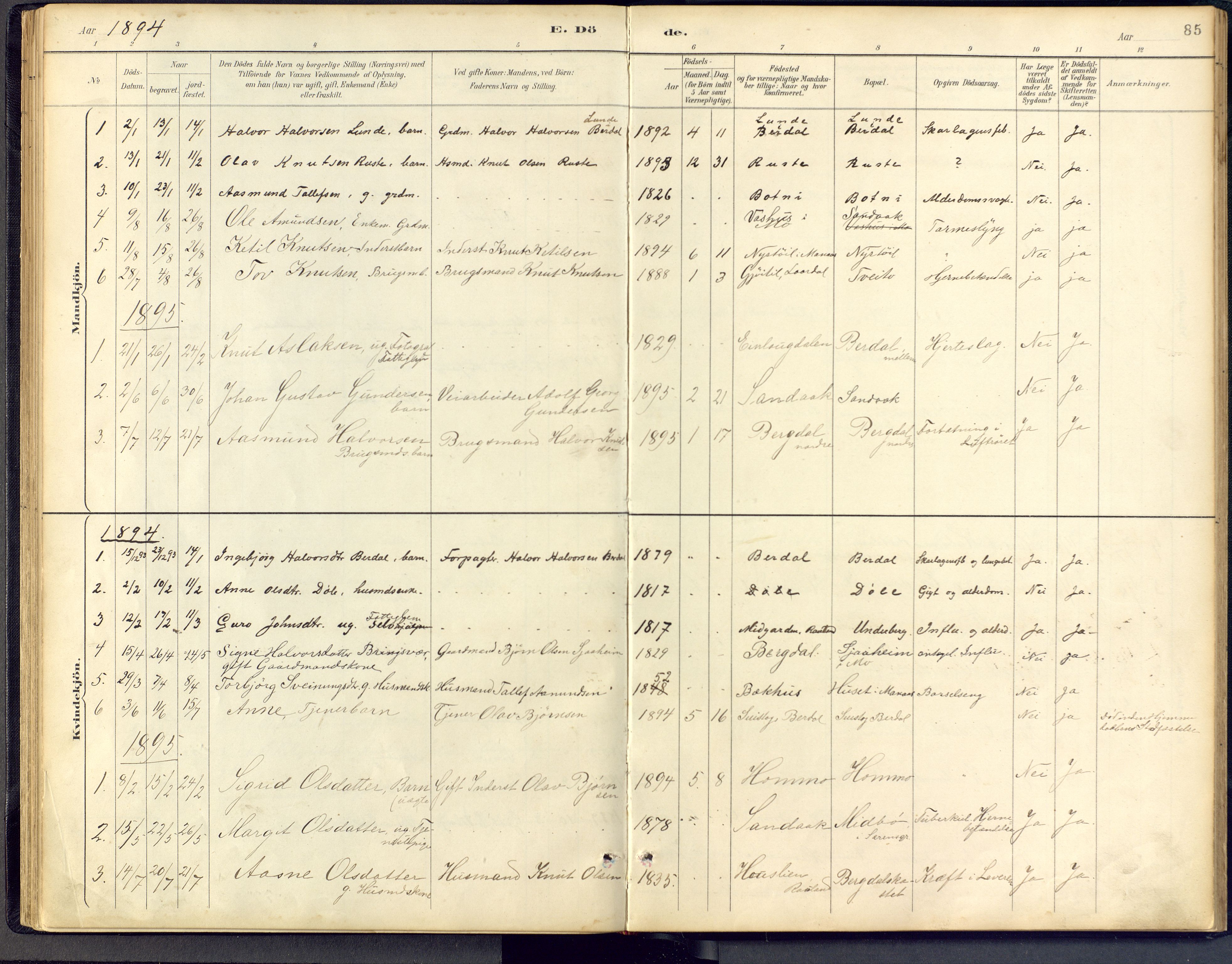 Vinje kirkebøker, AV/SAKO-A-312/F/Fb/L0002: Parish register (official) no. II 2, 1887-1925, p. 85