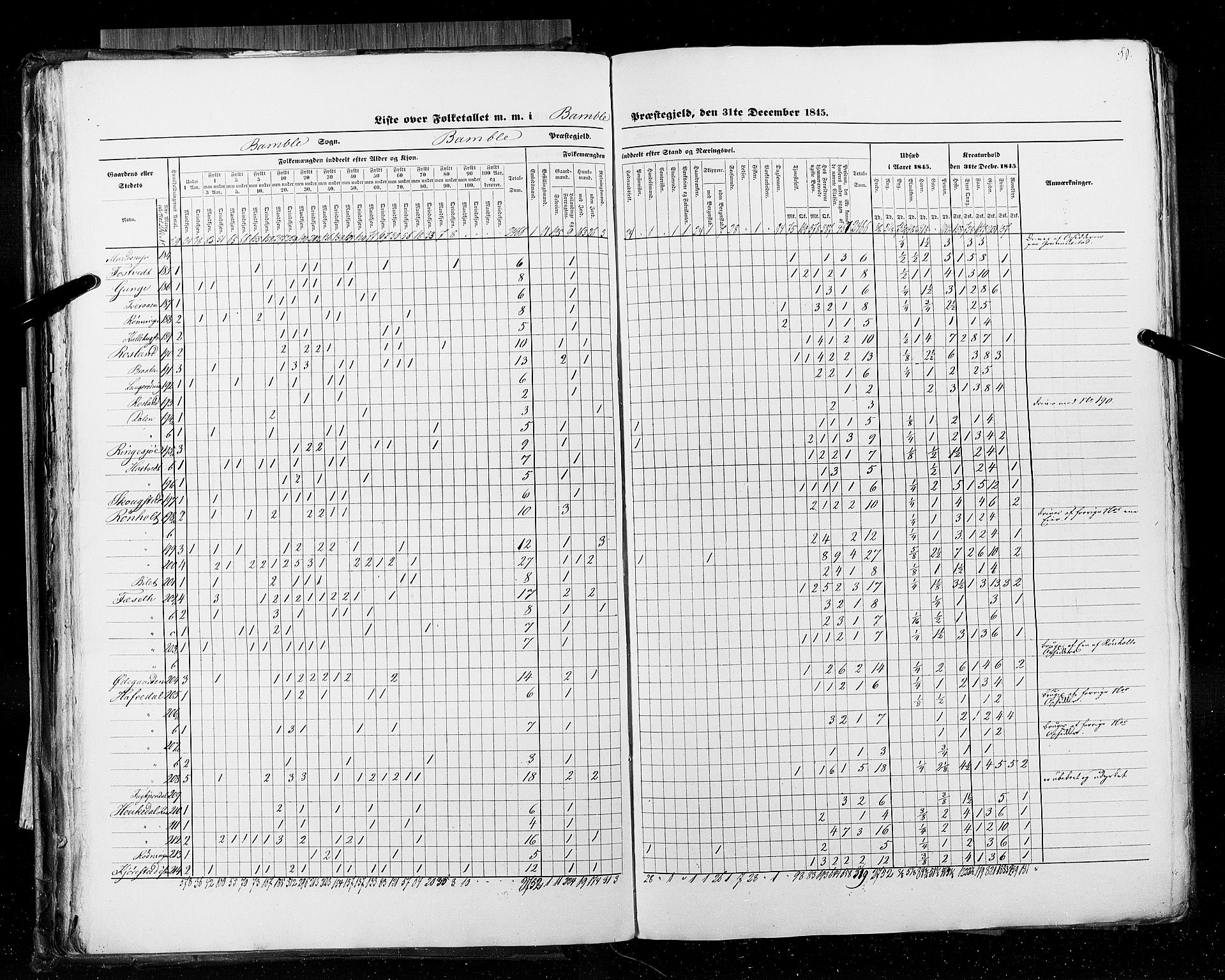 RA, Census 1845, vol. 5: Bratsberg amt og Nedenes og Råbyggelaget amt, 1845, p. 50