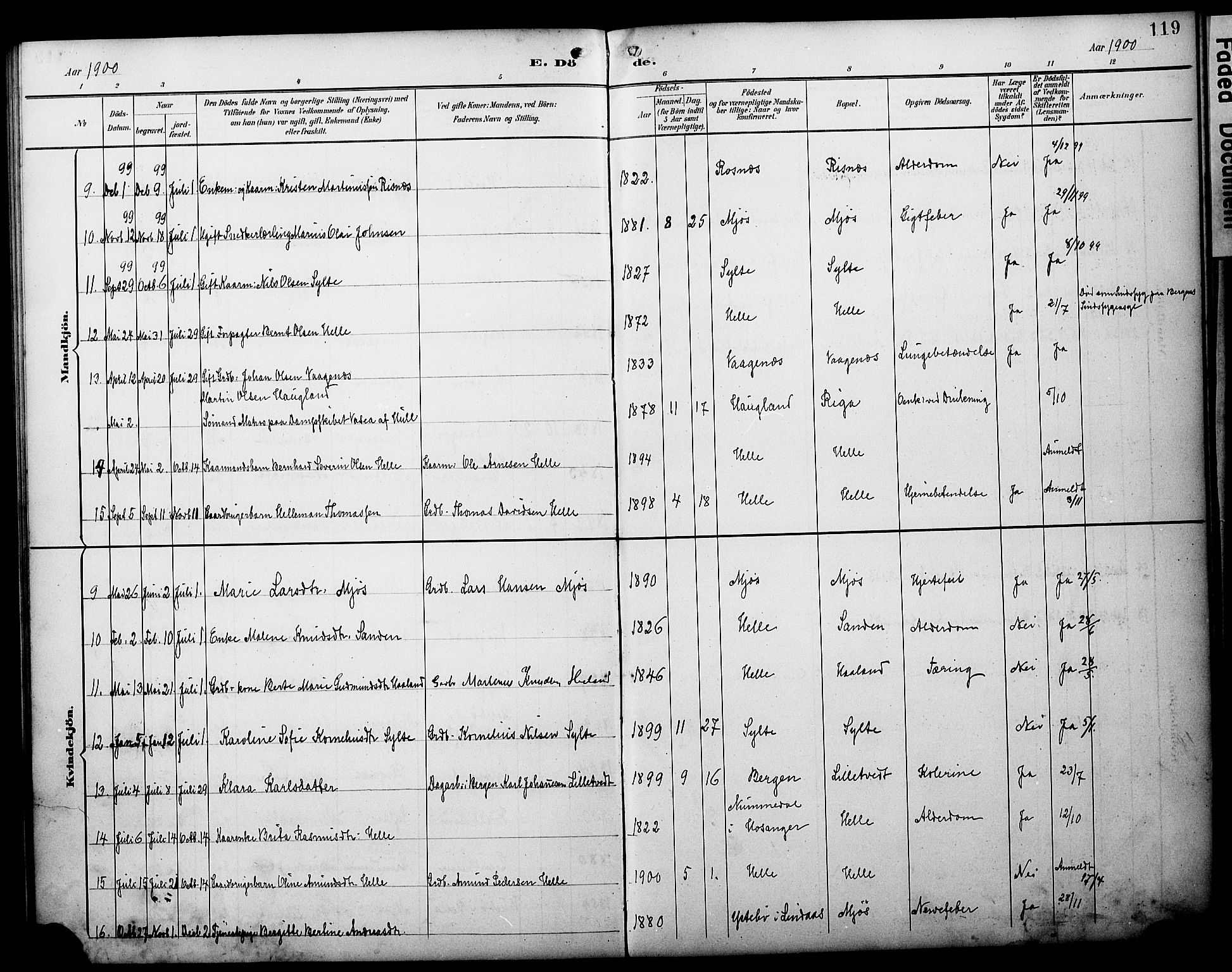 Manger sokneprestembete, AV/SAB-A-76801/H/Haa: Parish register (official) no. C 2, 1891-1902, p. 119