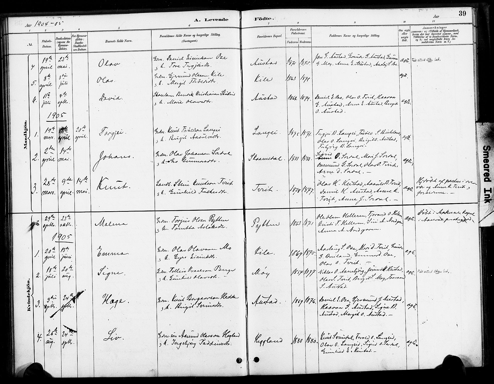 Bygland sokneprestkontor, SAK/1111-0006/F/Fa/Faa/L0001: Parish register (official) no. A 1, 1885-1908, p. 39
