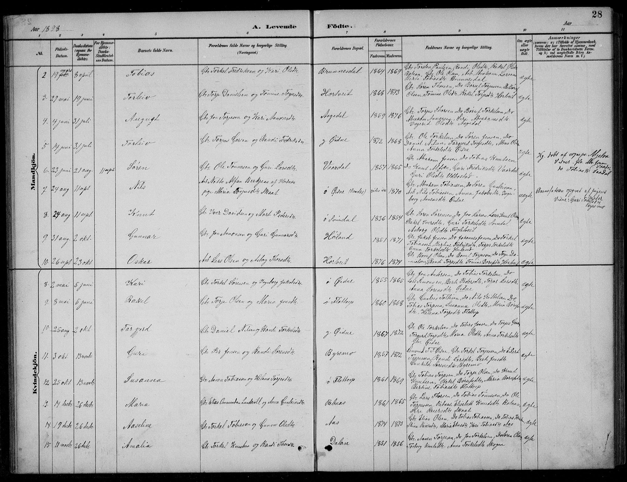 Bjelland sokneprestkontor, SAK/1111-0005/F/Fb/Fbc/L0003: Parish register (copy) no. B 3, 1887-1924, p. 28