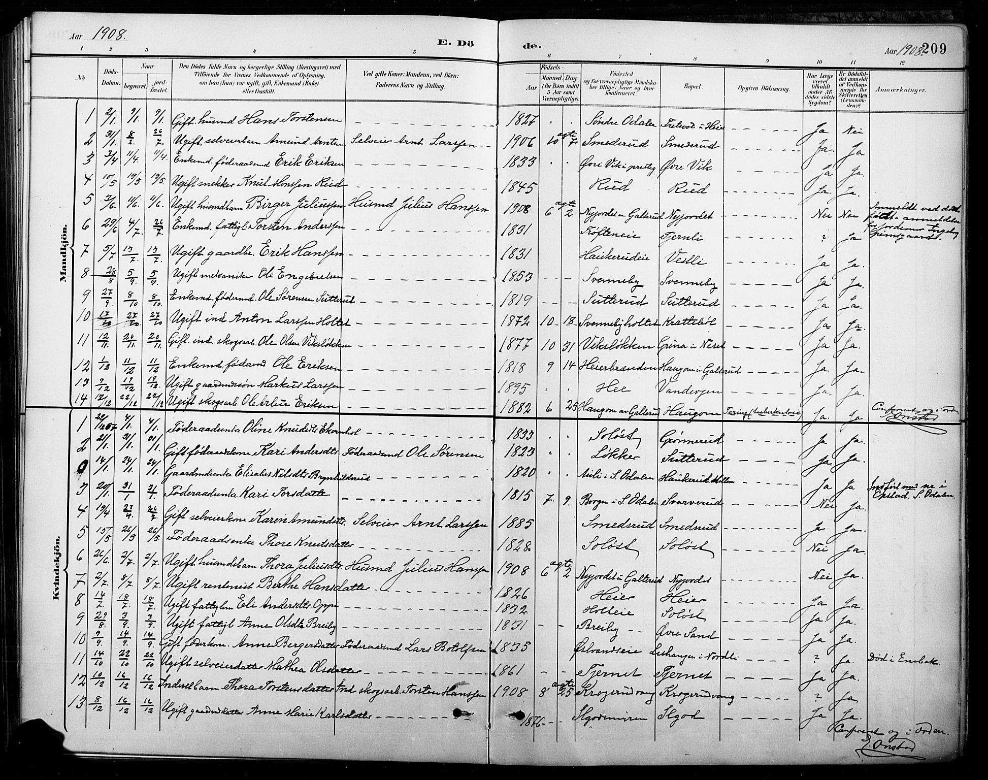 Nord-Odal prestekontor, AV/SAH-PREST-032/H/Ha/Hab/L0003: Parish register (copy) no. 3, 1895-1923, p. 209