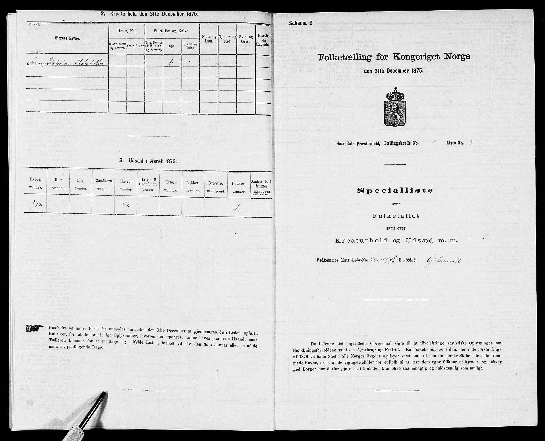SAK, 1875 census for 0924P Homedal, 1875, p. 31