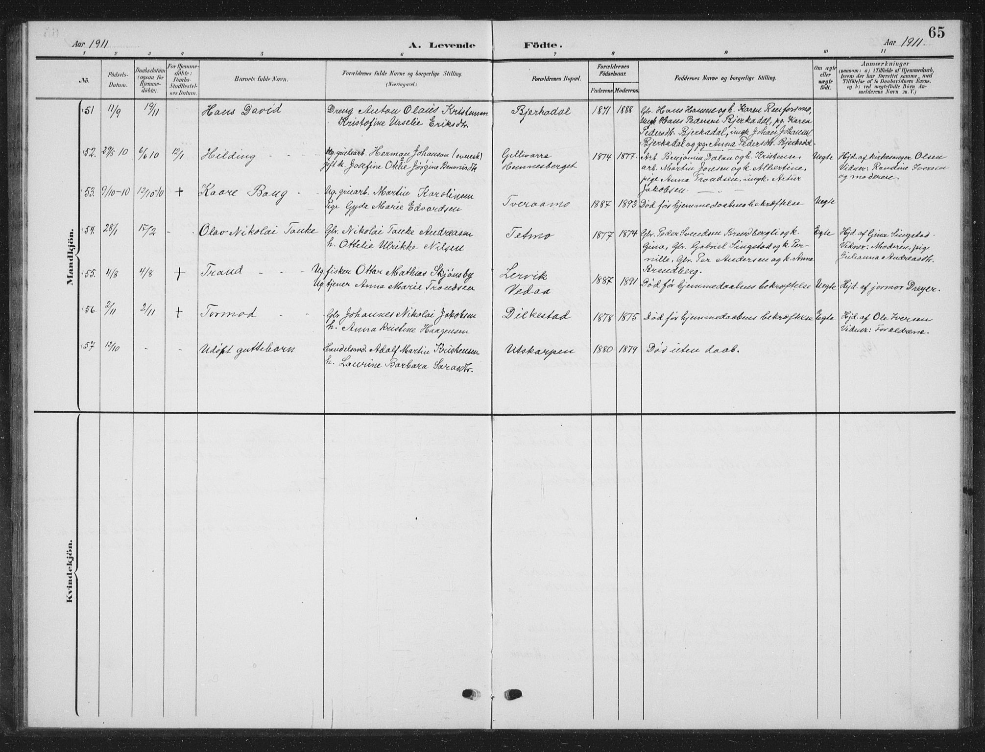 Ministerialprotokoller, klokkerbøker og fødselsregistre - Nordland, AV/SAT-A-1459/825/L0370: Parish register (copy) no. 825C07, 1903-1923, p. 65