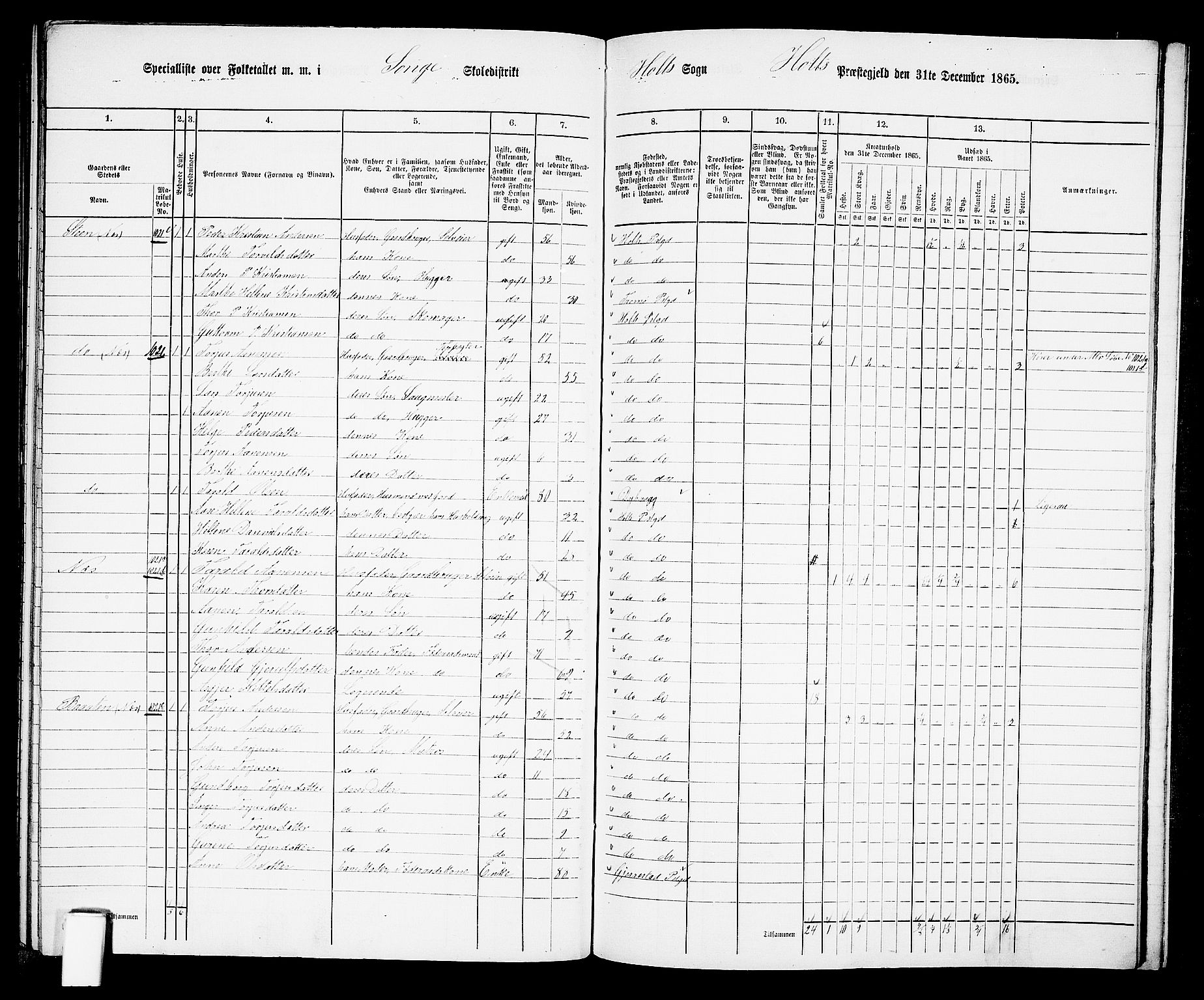 RA, 1865 census for Holt/Holt, 1865, p. 169