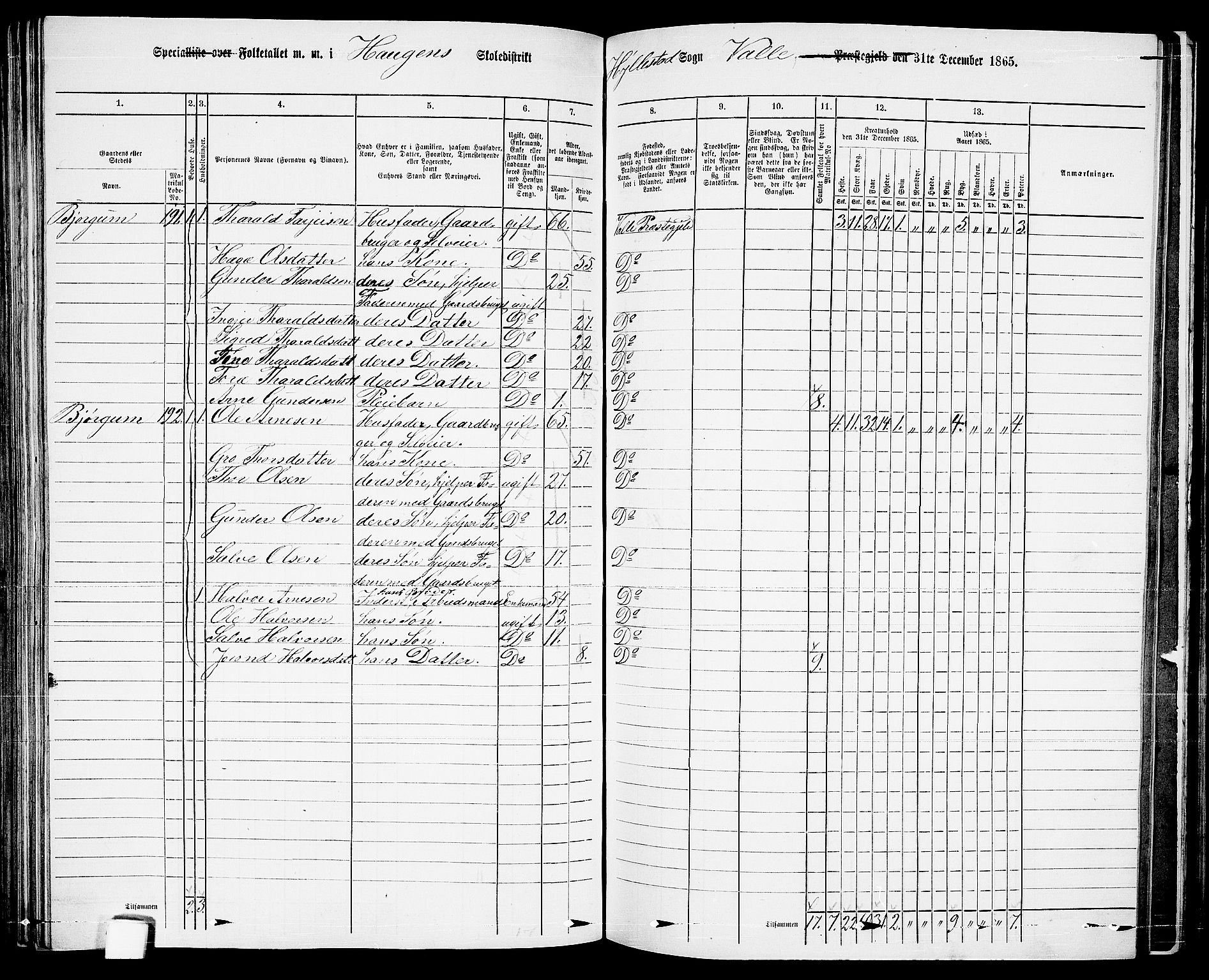 RA, 1865 census for Valle, 1865, p. 118