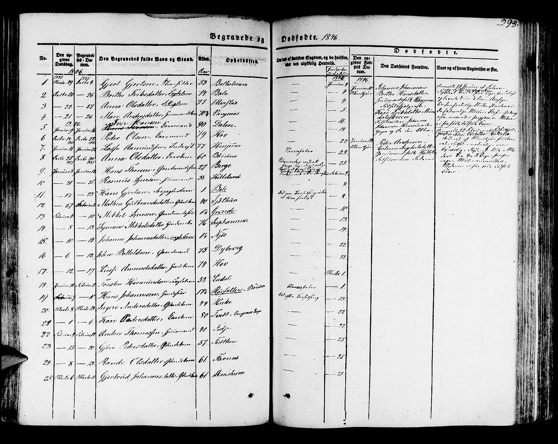 Leikanger sokneprestembete, SAB/A-81001: Parish register (official) no. A 7, 1838-1851, p. 293