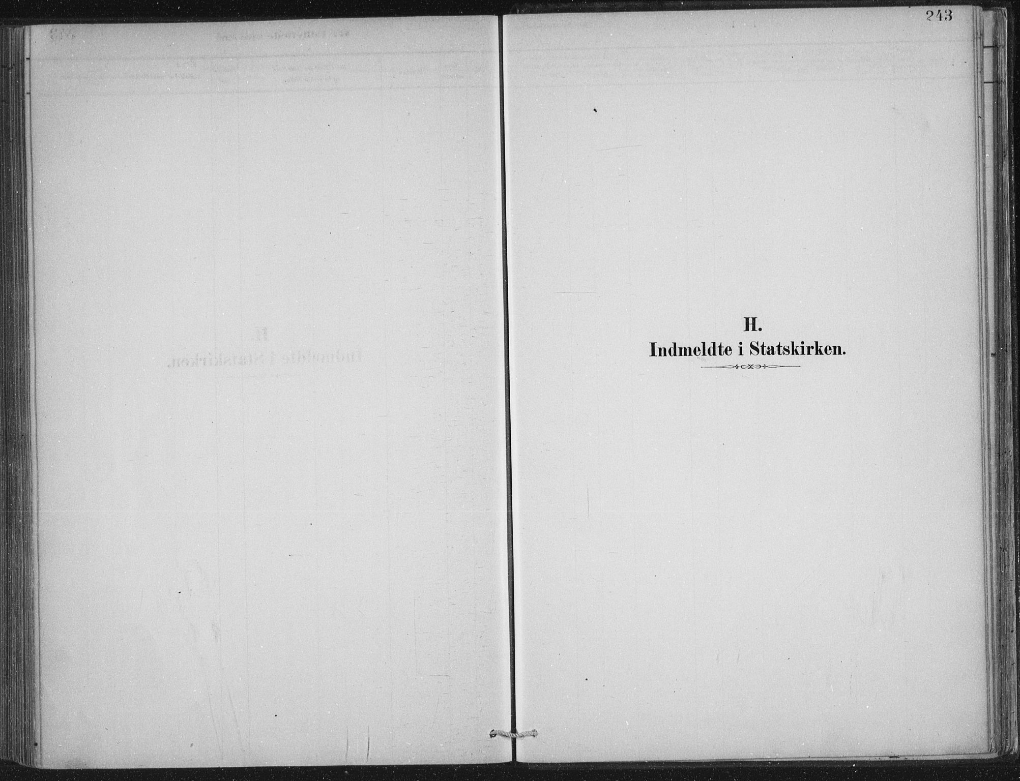 Lærdal sokneprestembete, SAB/A-81201: Parish register (official) no. D  1, 1878-1908, p. 243