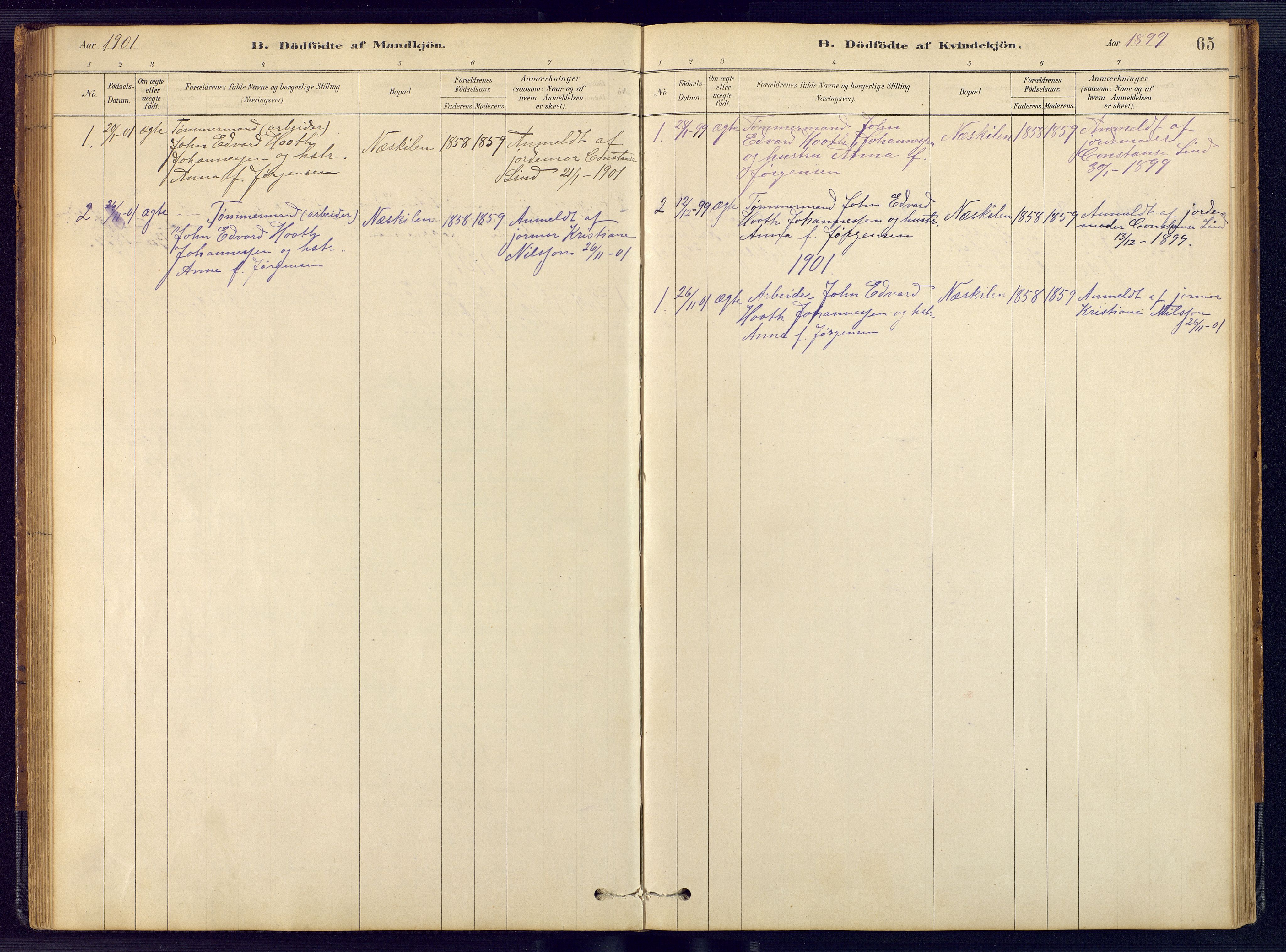 Austre Moland sokneprestkontor, SAK/1111-0001/F/Fb/Fbb/L0001: Parish register (copy) no. B 1, 1878-1904, p. 65