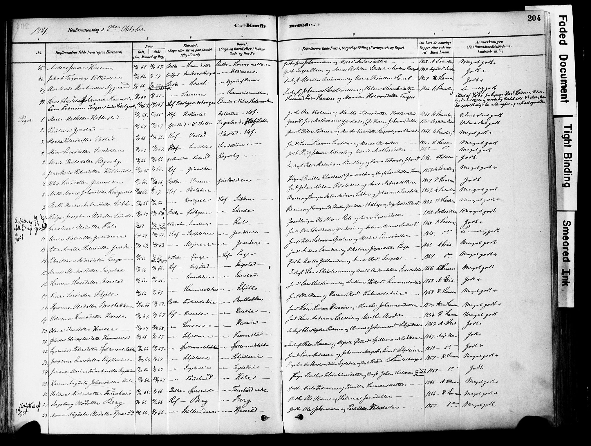 Østre Toten prestekontor, SAH/PREST-104/H/Ha/Haa/L0006: Parish register (official) no. 6 /1, 1878-1896, p. 204