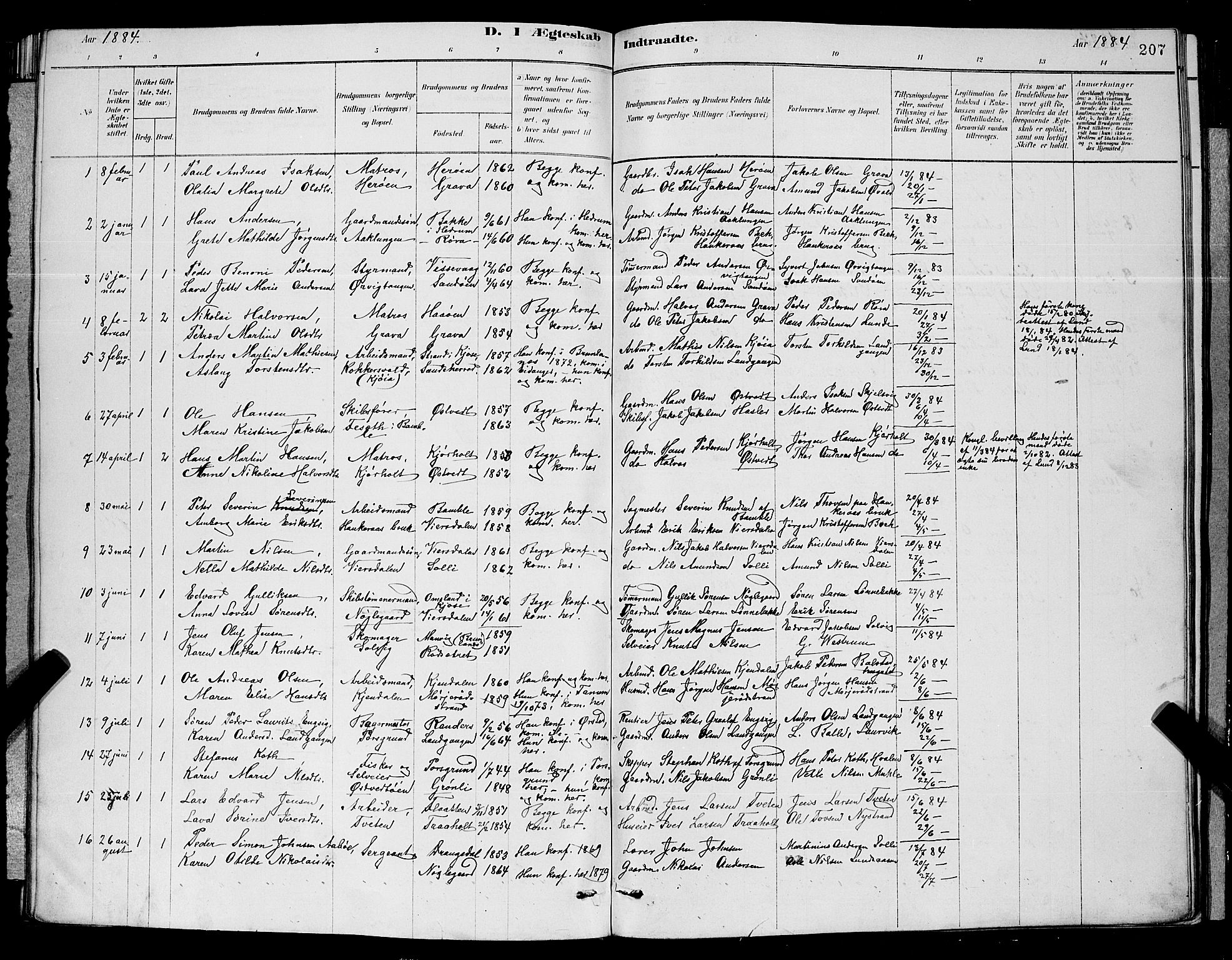 Eidanger kirkebøker, SAKO/A-261/G/Ga/L0002: Parish register (copy) no. 2, 1879-1892, p. 207