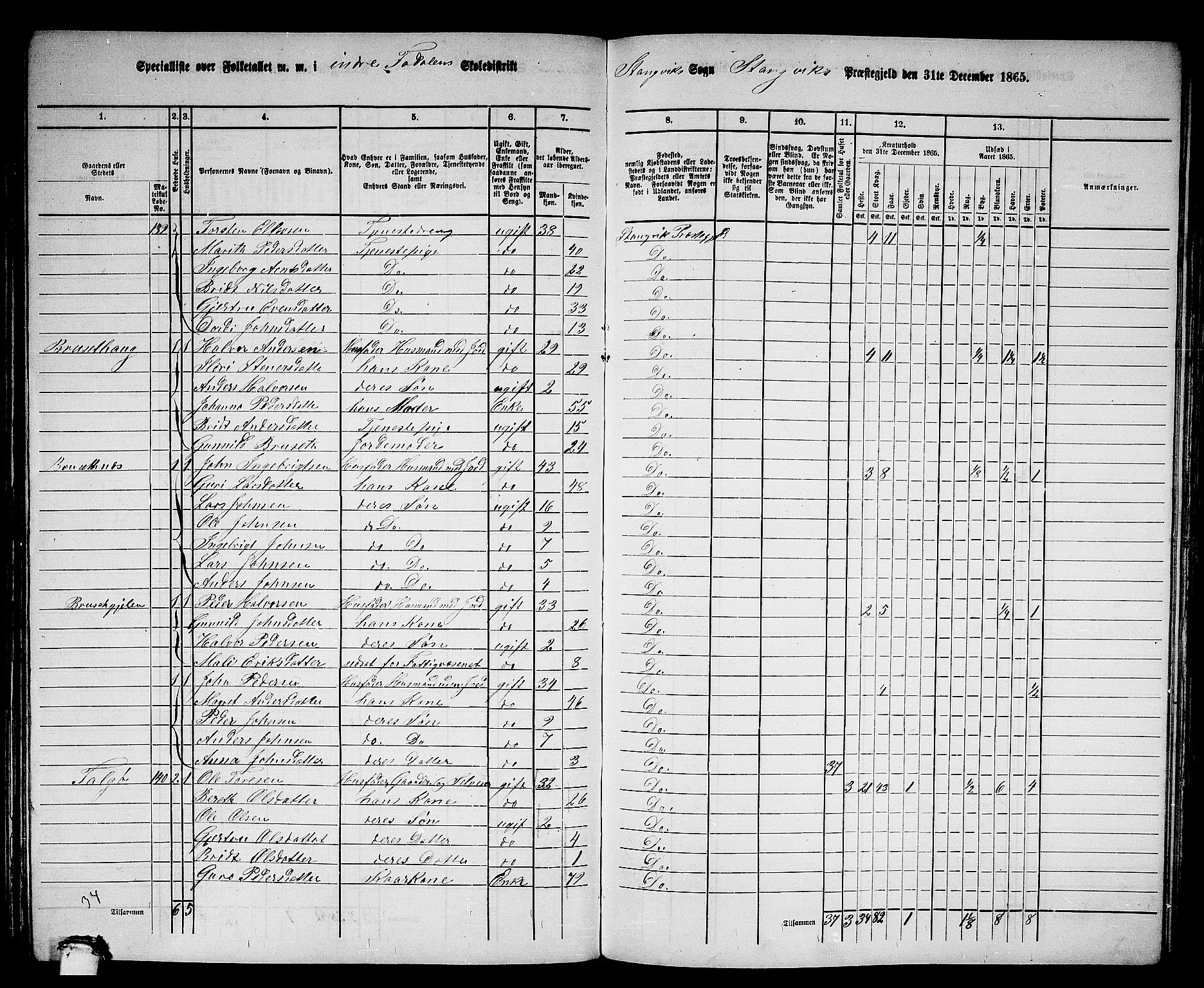 RA, 1865 census for Stangvik, 1865, p. 110