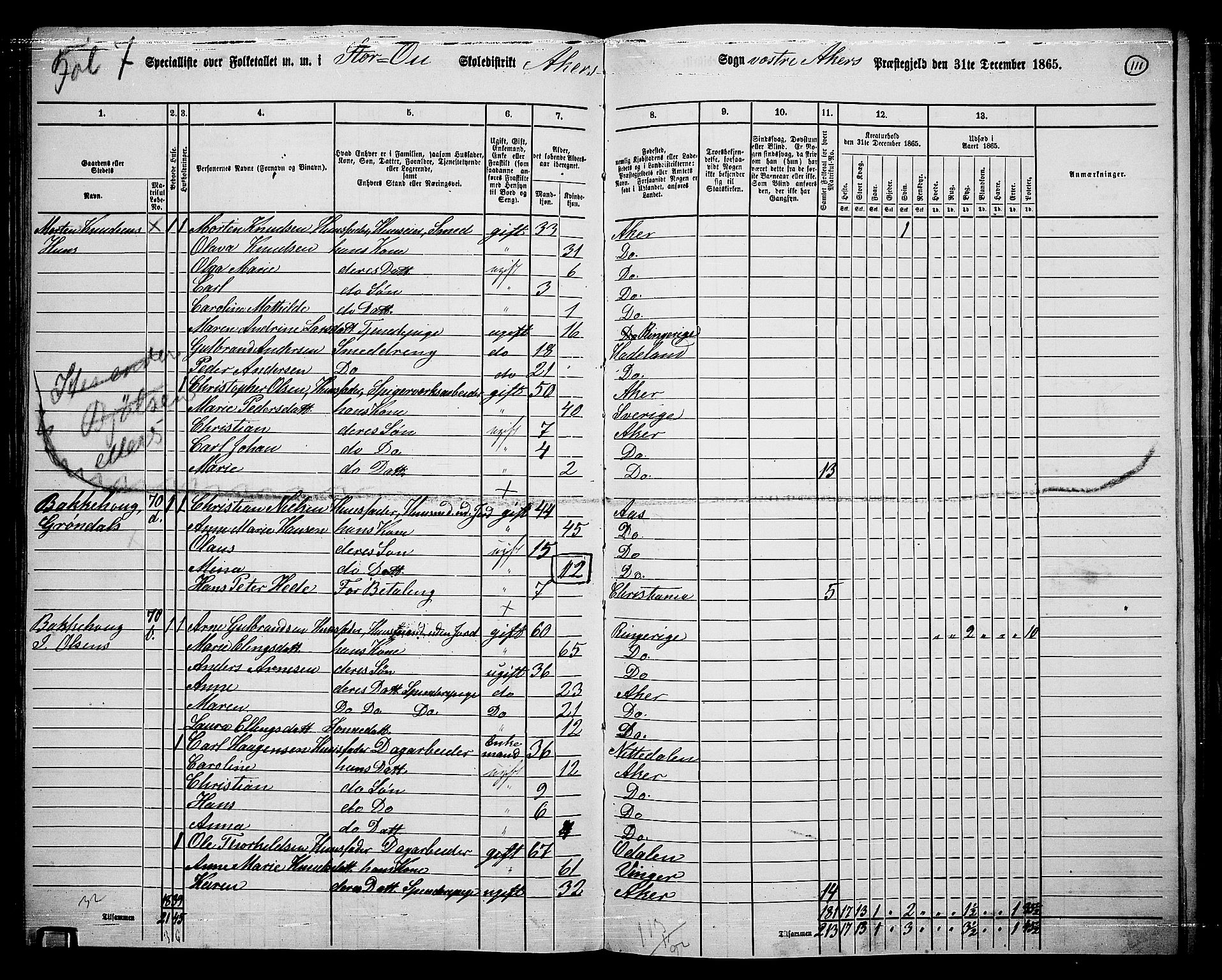 RA, 1865 census for Vestre Aker, 1865, p. 279