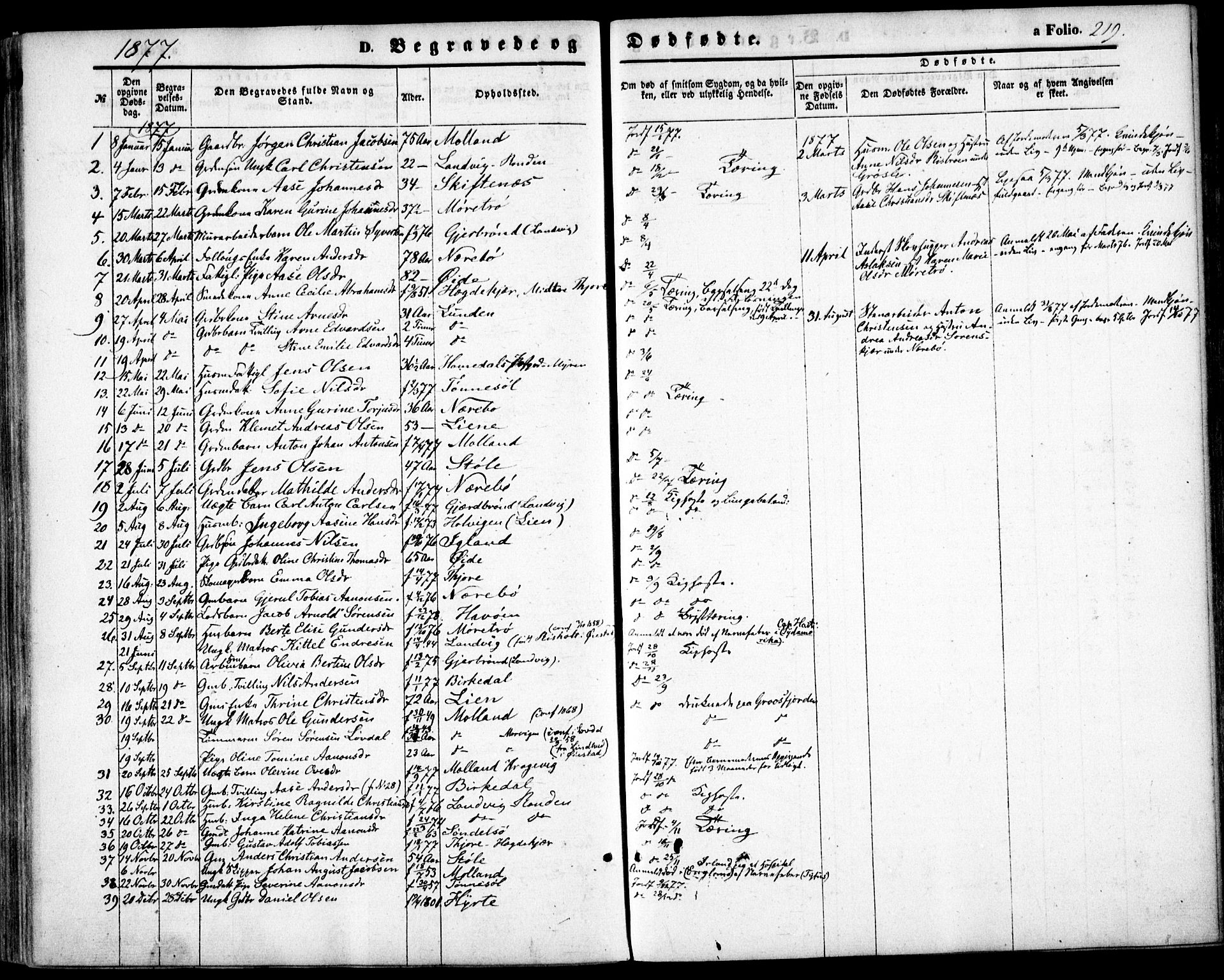 Hommedal sokneprestkontor, AV/SAK-1111-0023/F/Fa/Fab/L0005: Parish register (official) no. A 5, 1861-1877, p. 219