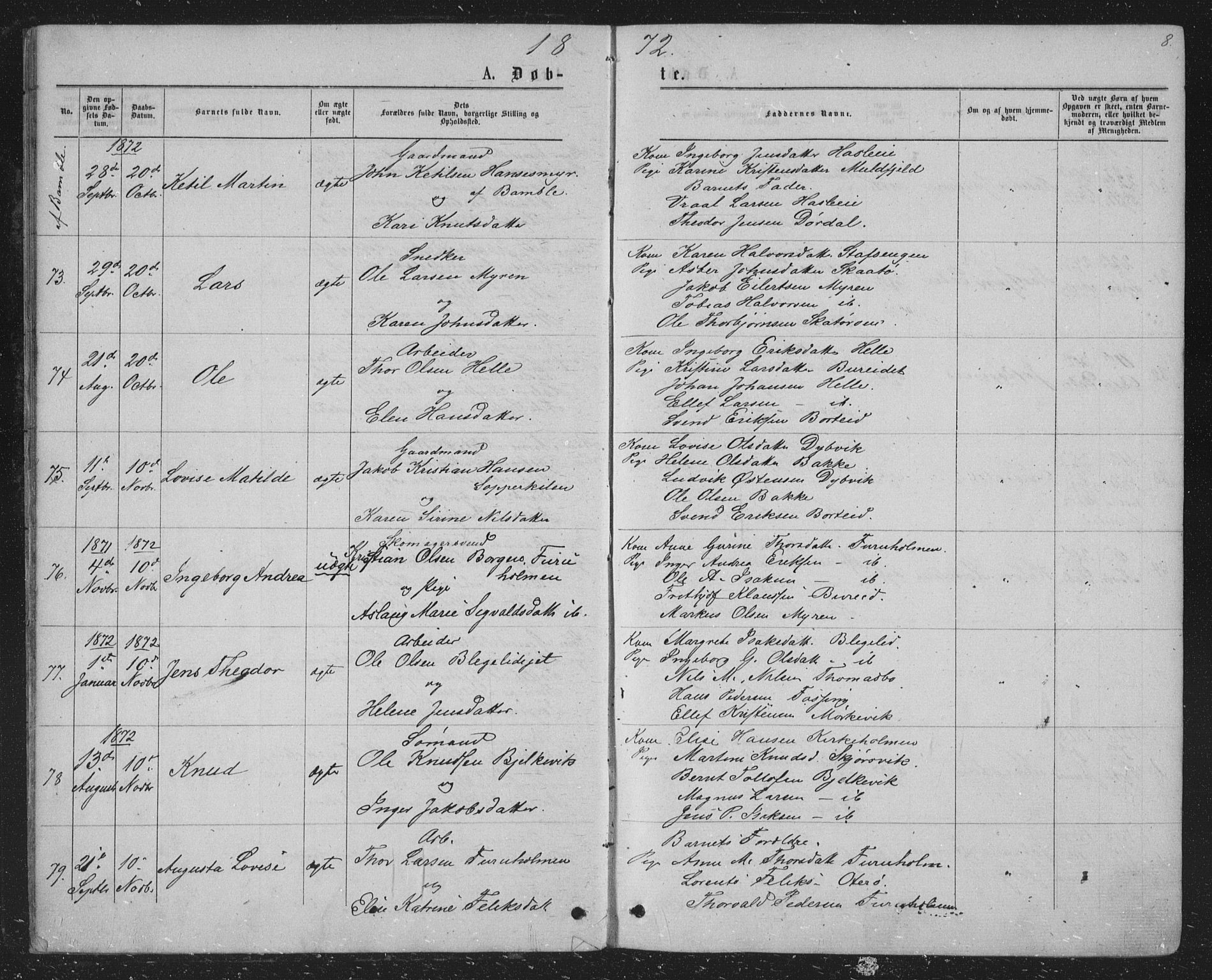 Skåtøy kirkebøker, SAKO/A-304/G/Ga/L0002: Parish register (copy) no. I 2, 1872-1884, p. 8