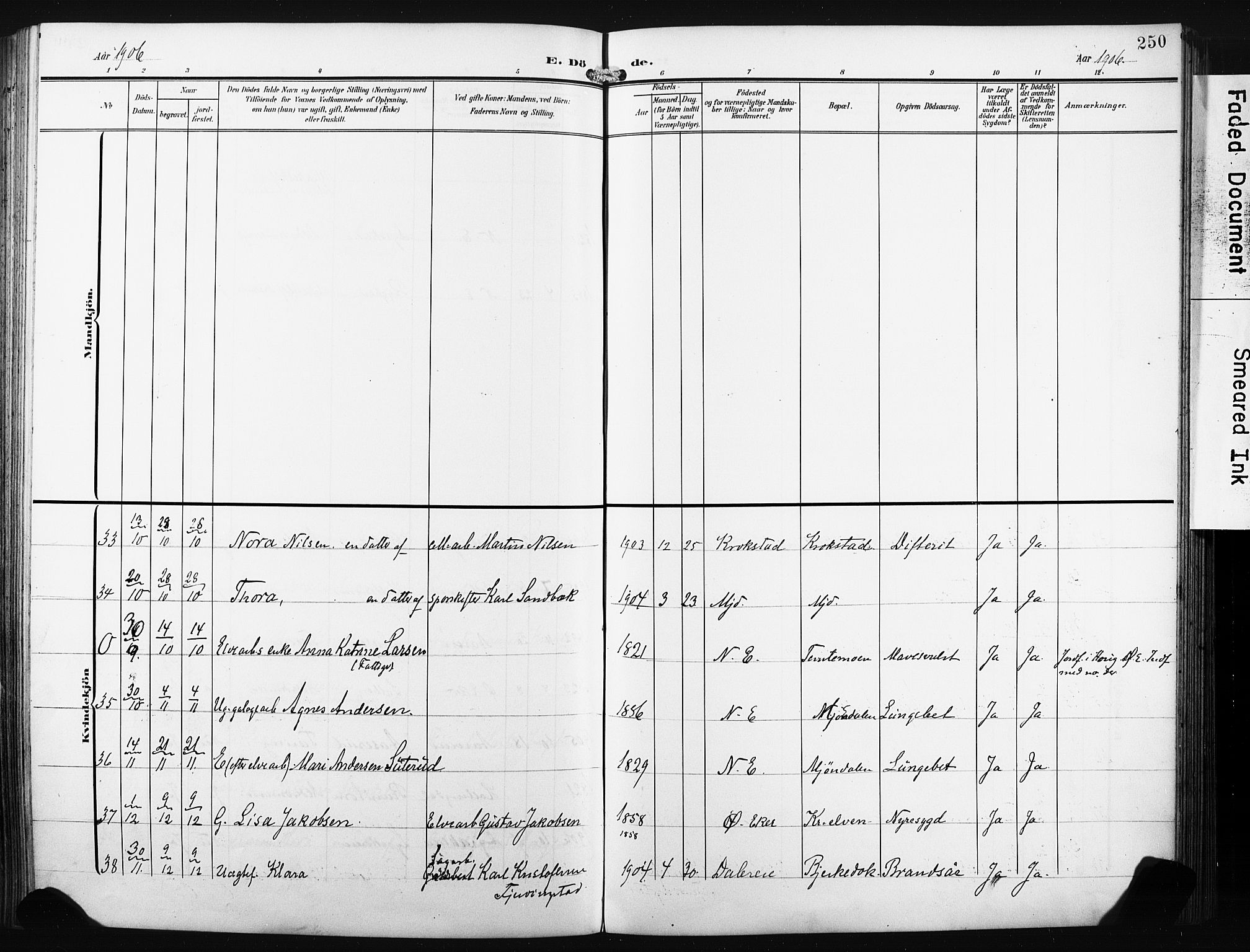 Nedre Eiker kirkebøker, AV/SAKO-A-612/F/Fa/L0006: Parish register (official) no. 6, 1906-1912, p. 250