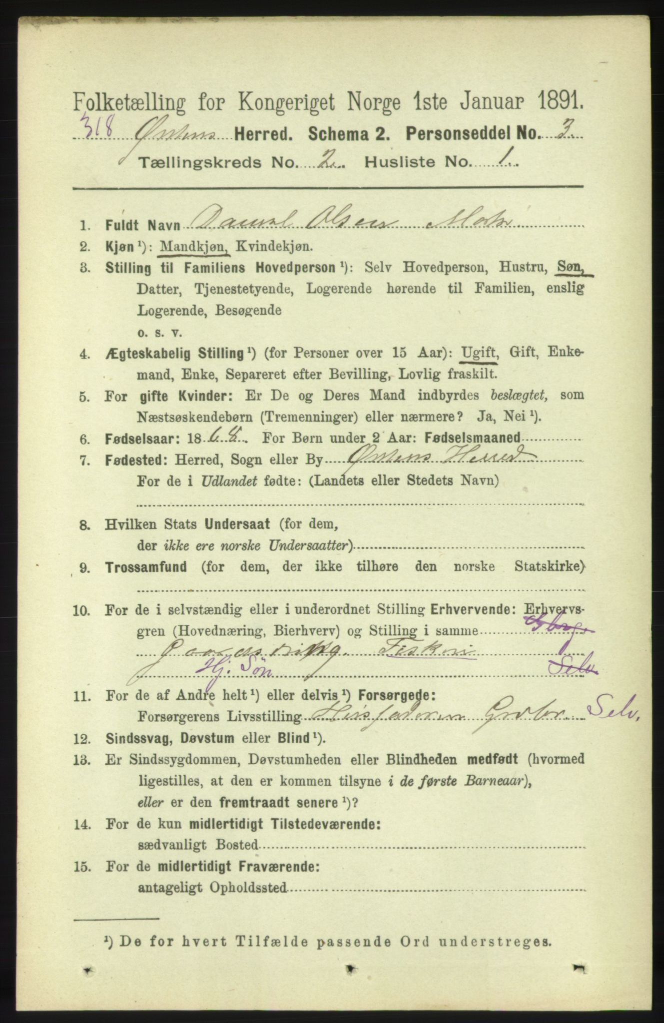 RA, 1891 census for 1520 Ørsta, 1891, p. 490